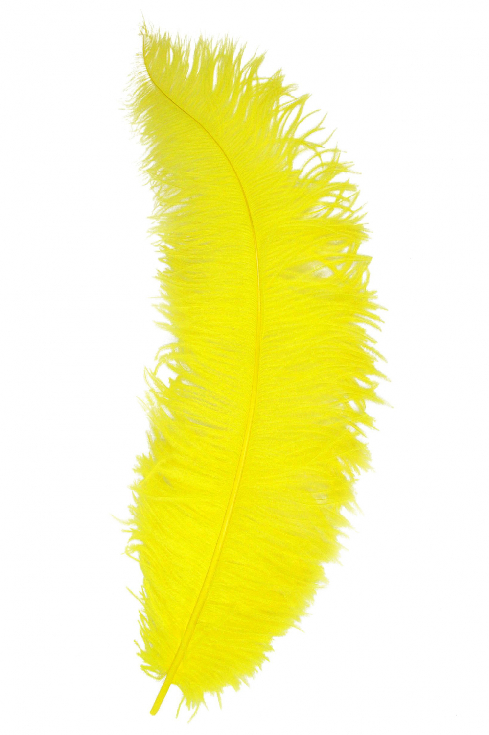 Spadonis veer geel 50cm