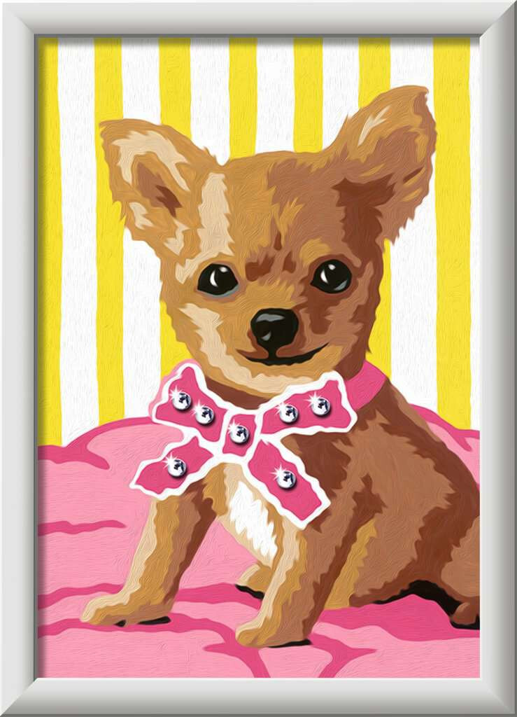 Ravensburger schilderen op nummer Little Chihuahua met glittering
