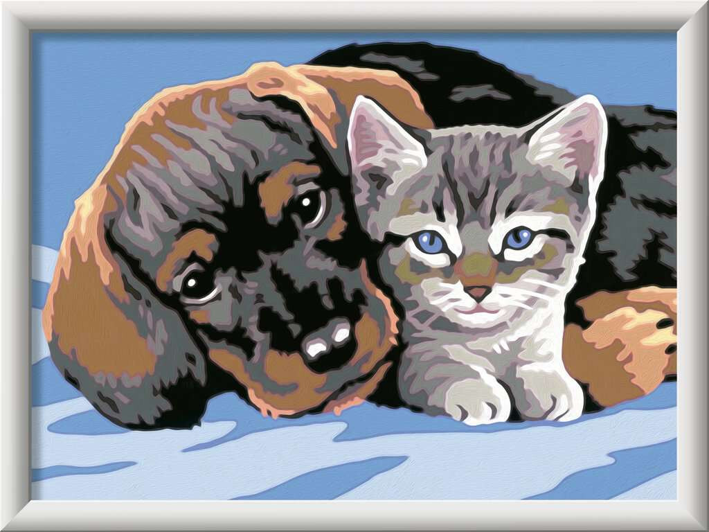 Ravensburger schilderen op nummer Two friends