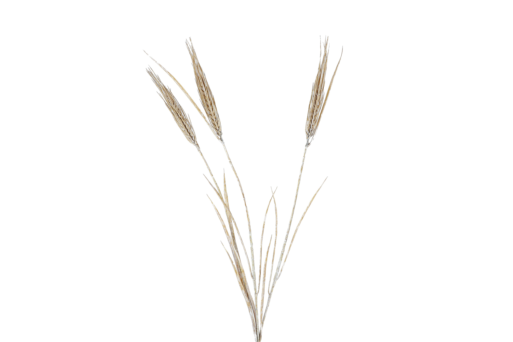 Kunsttak Barley off-white 74cm