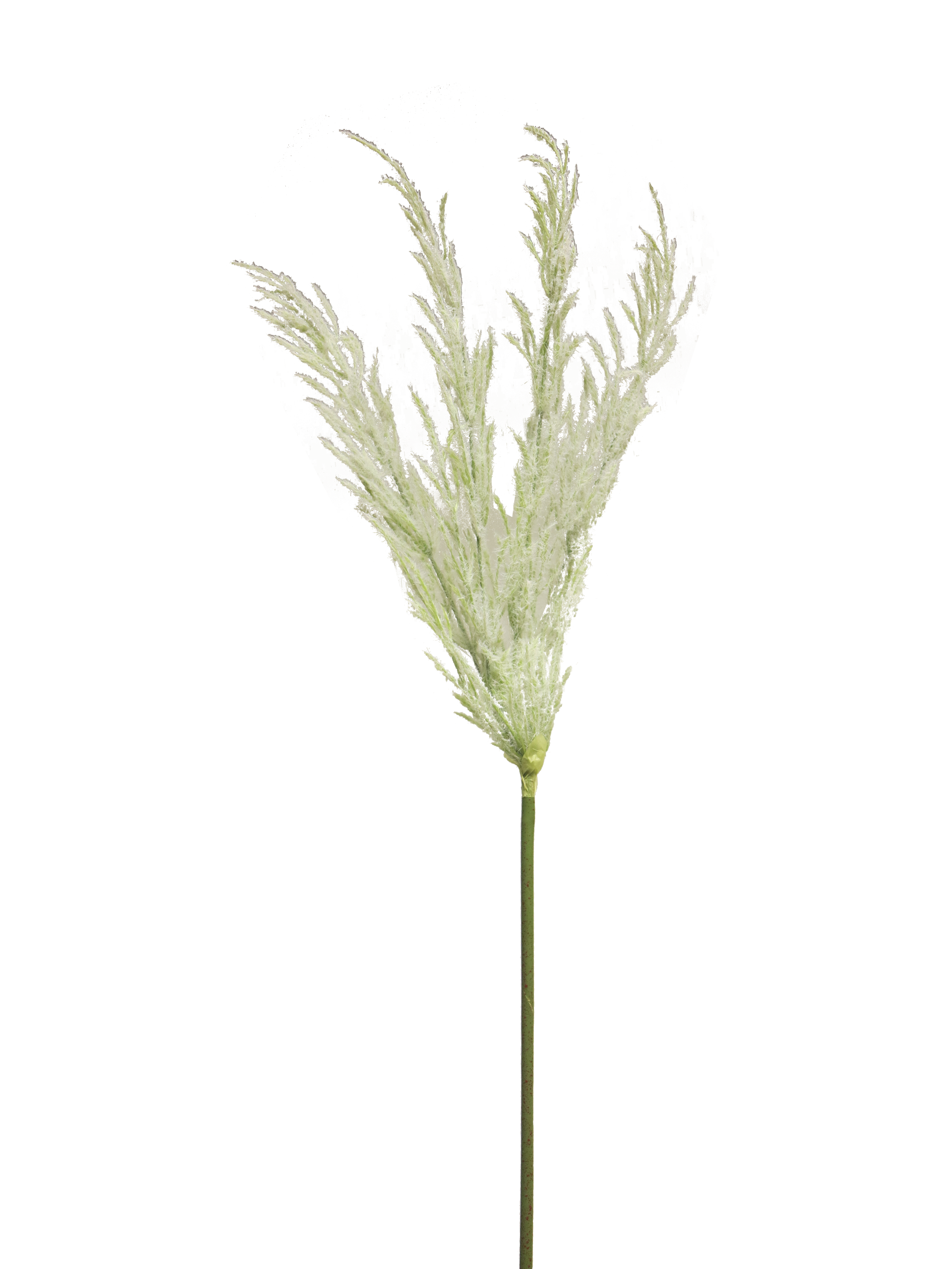 Grasspray wit 99cm