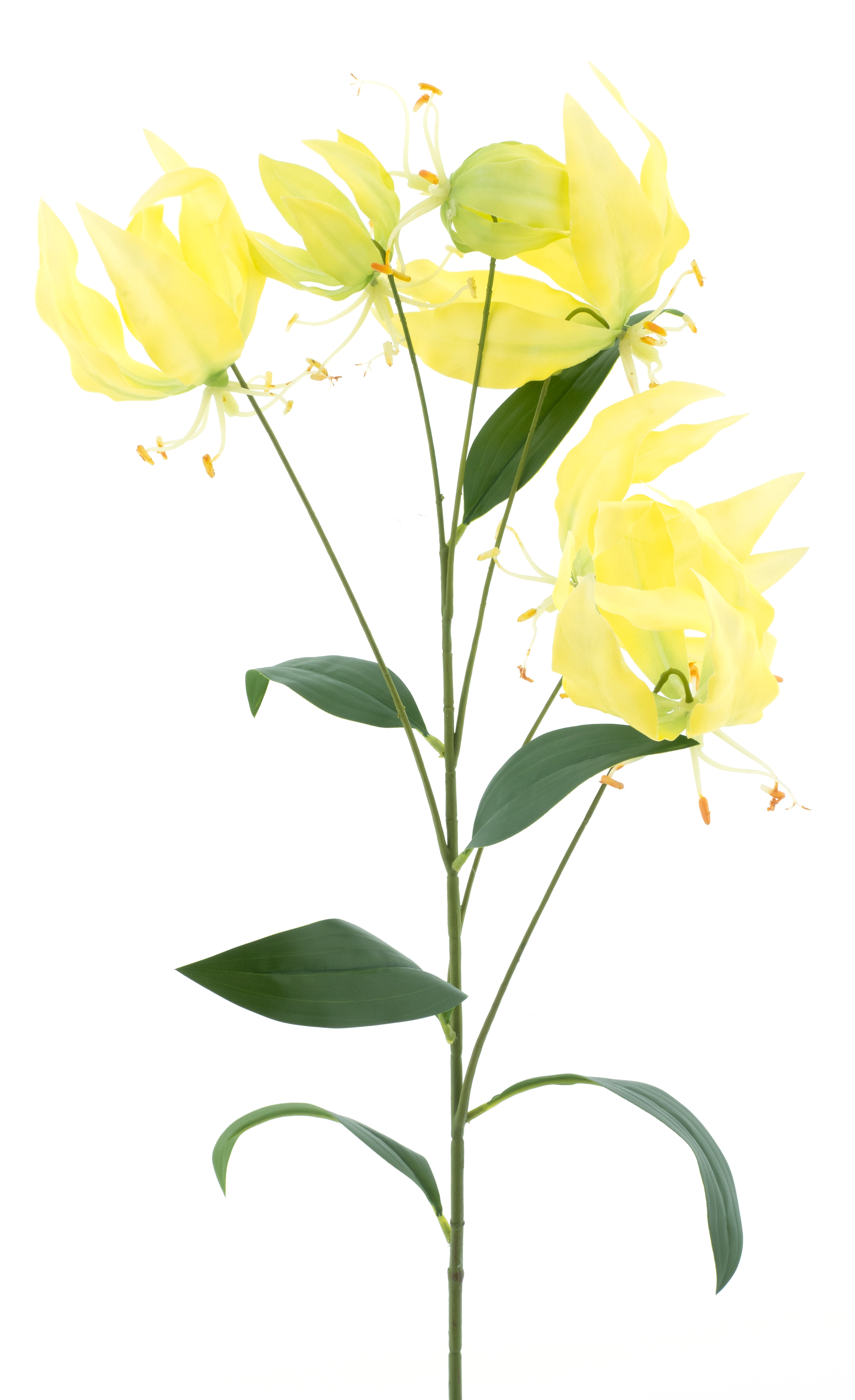 Gloriosa lily sprayyellow 90cm