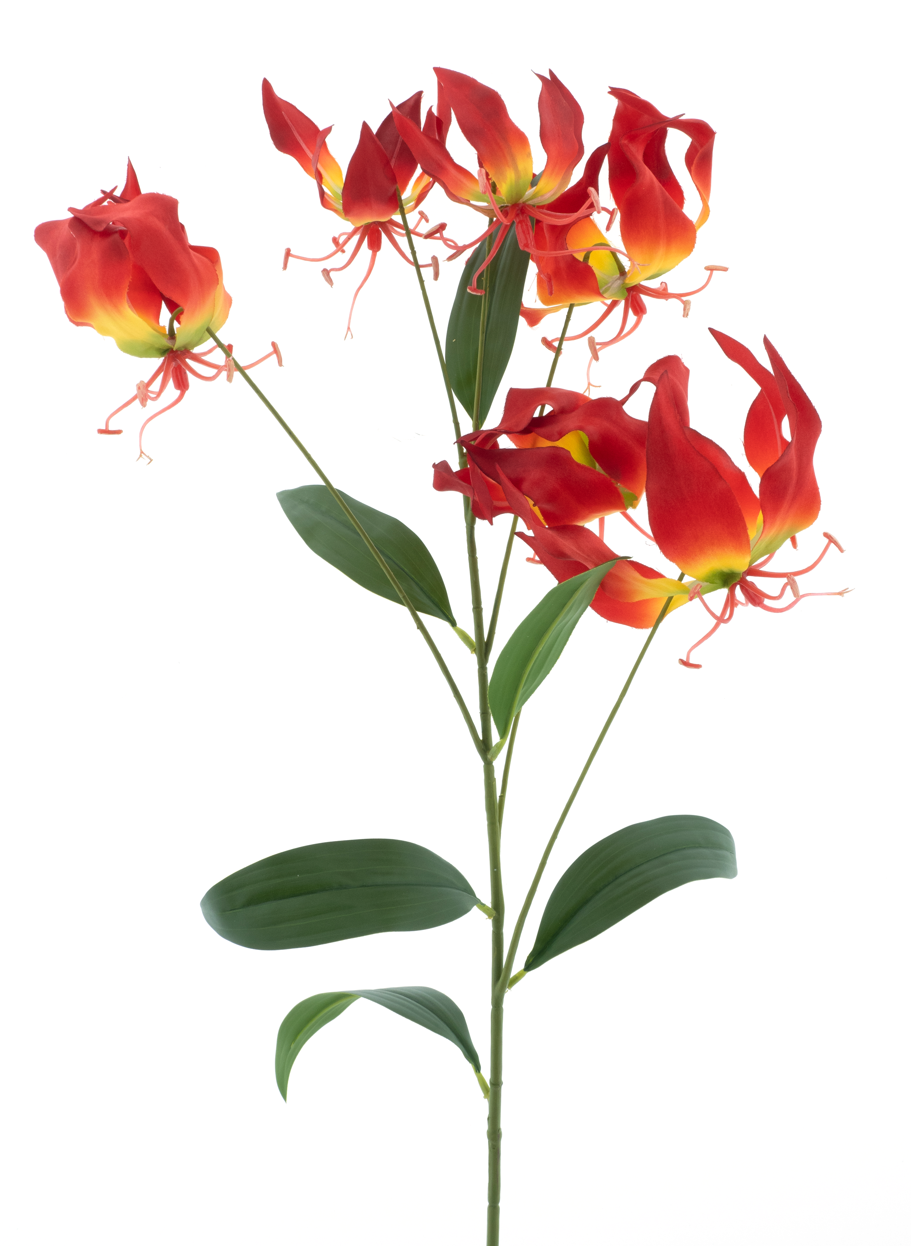 Gloriosa lilyspray red 90cm