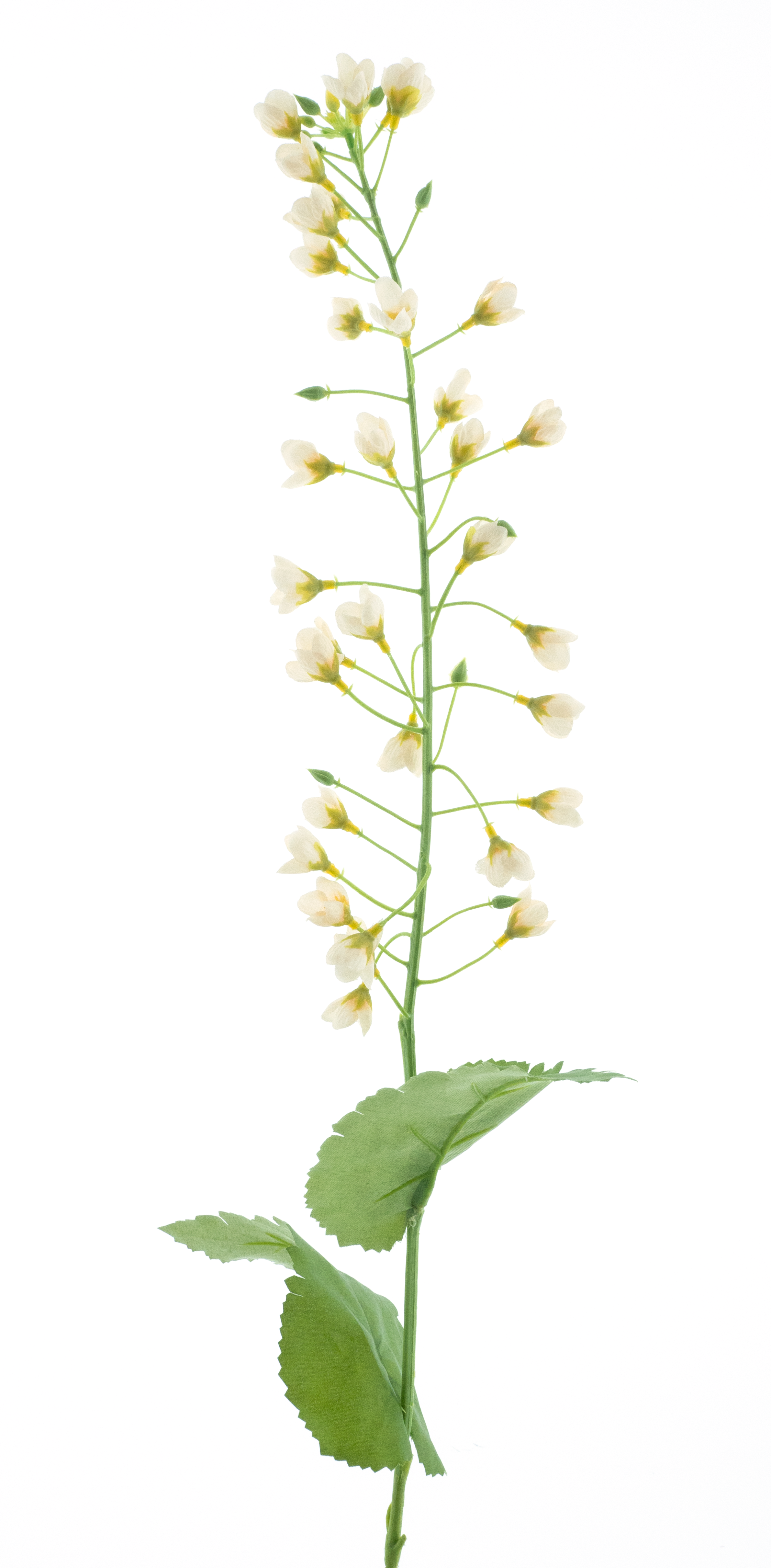 Mini flower Spraycream 70cm