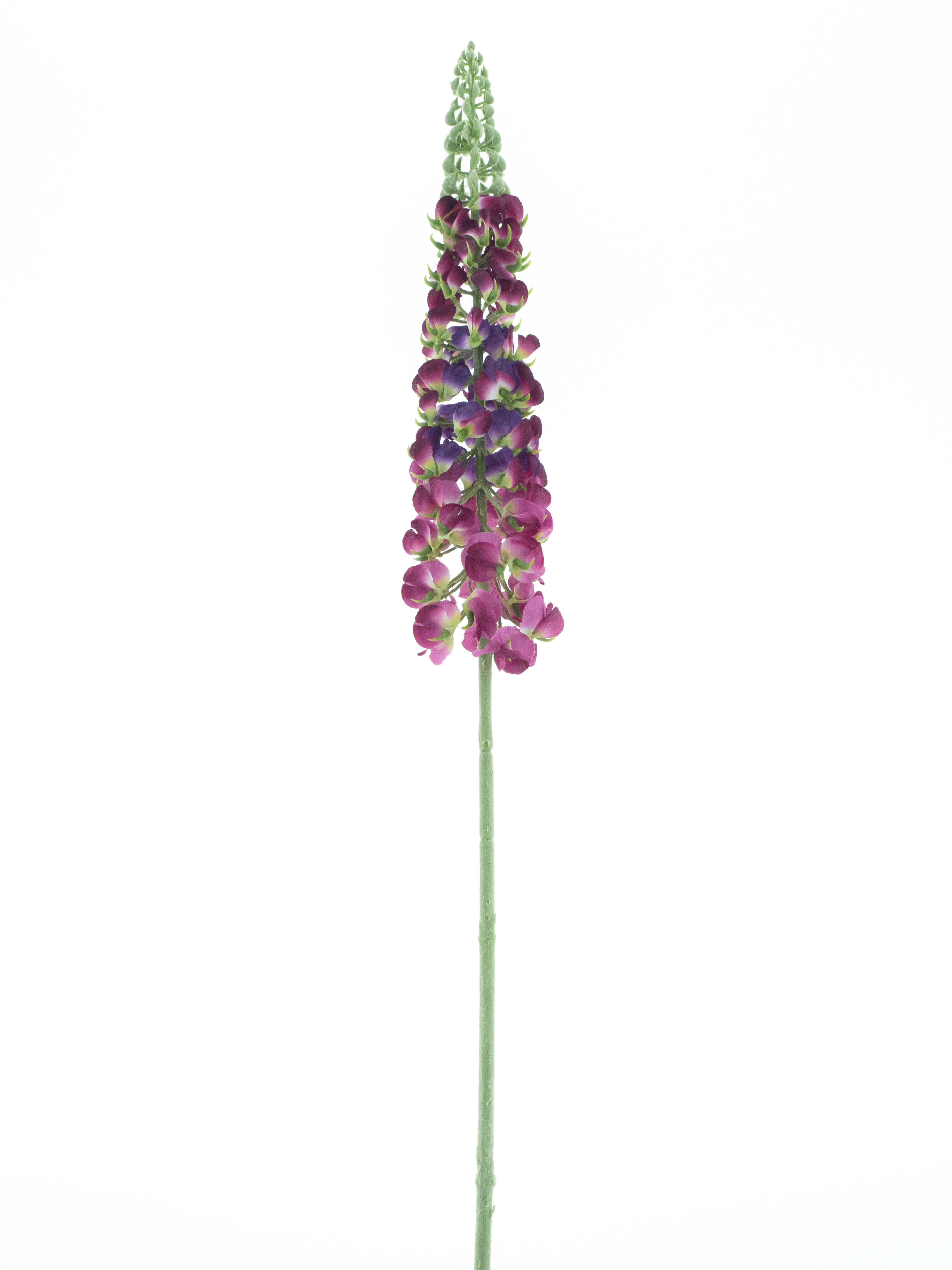 Antirrhinum spray Ambert beauty pink 108cm