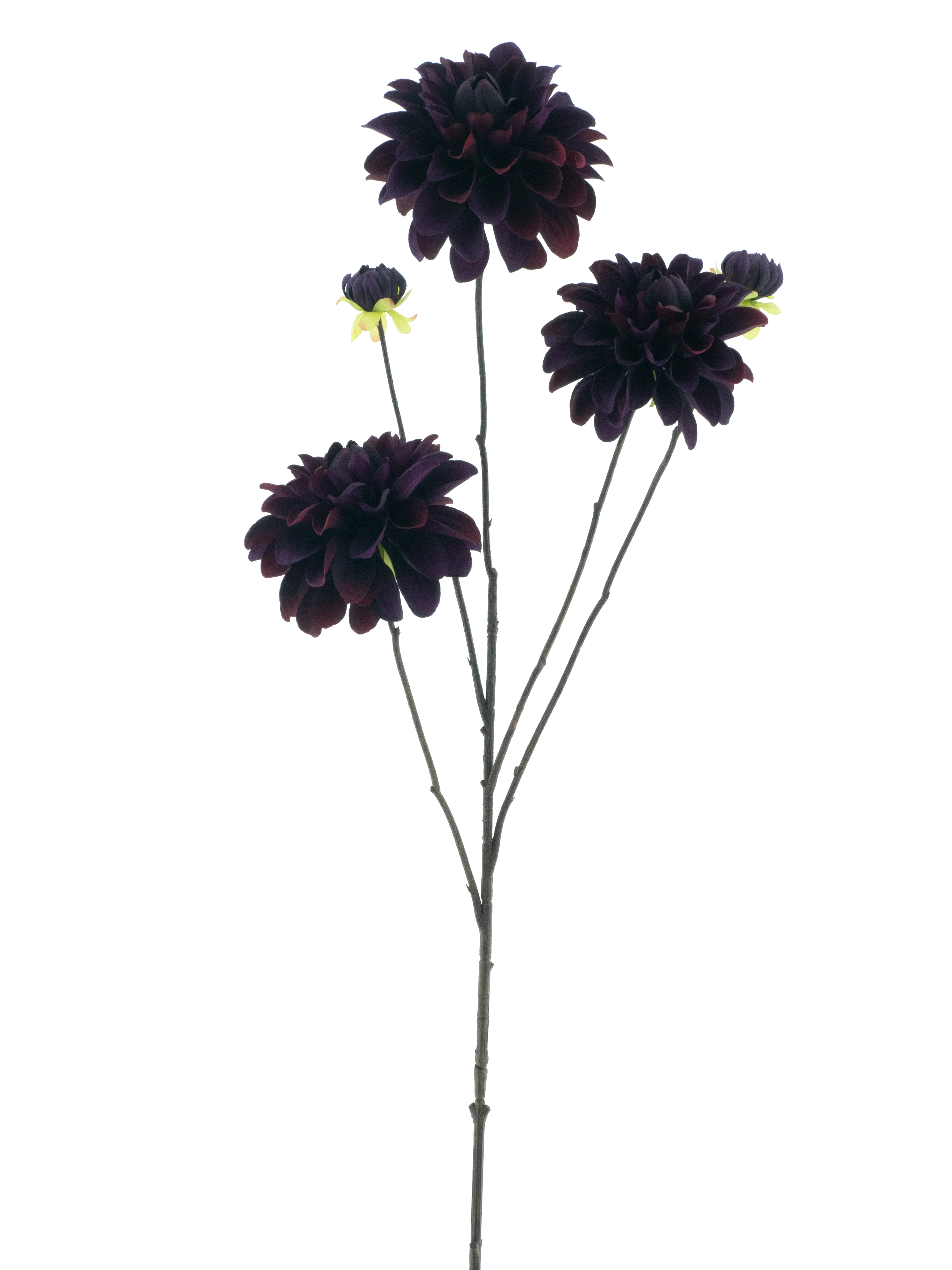 Dahlia spray Capitolburgundy 89cm