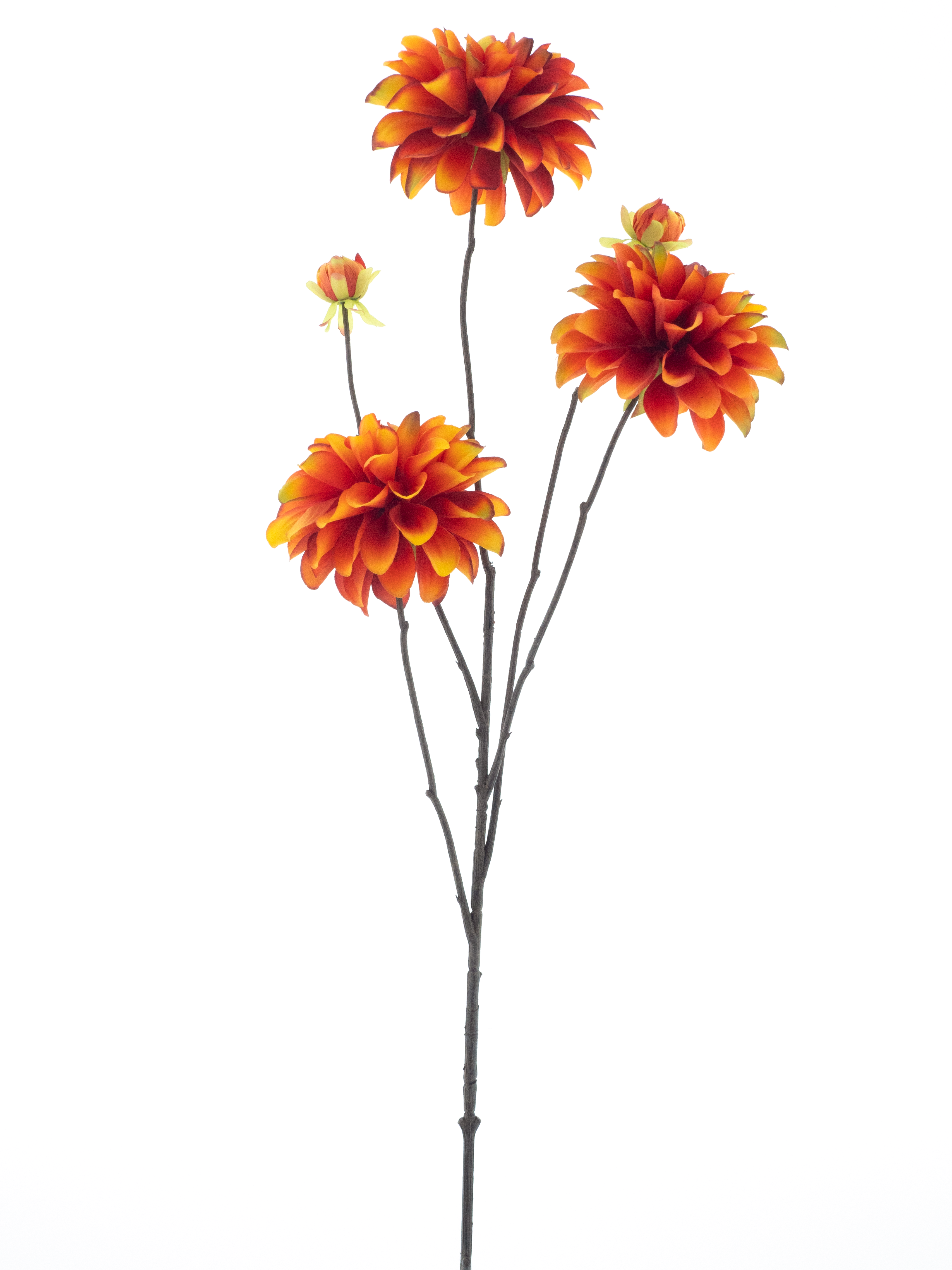 Dahlia spray Capitolorange 89cm