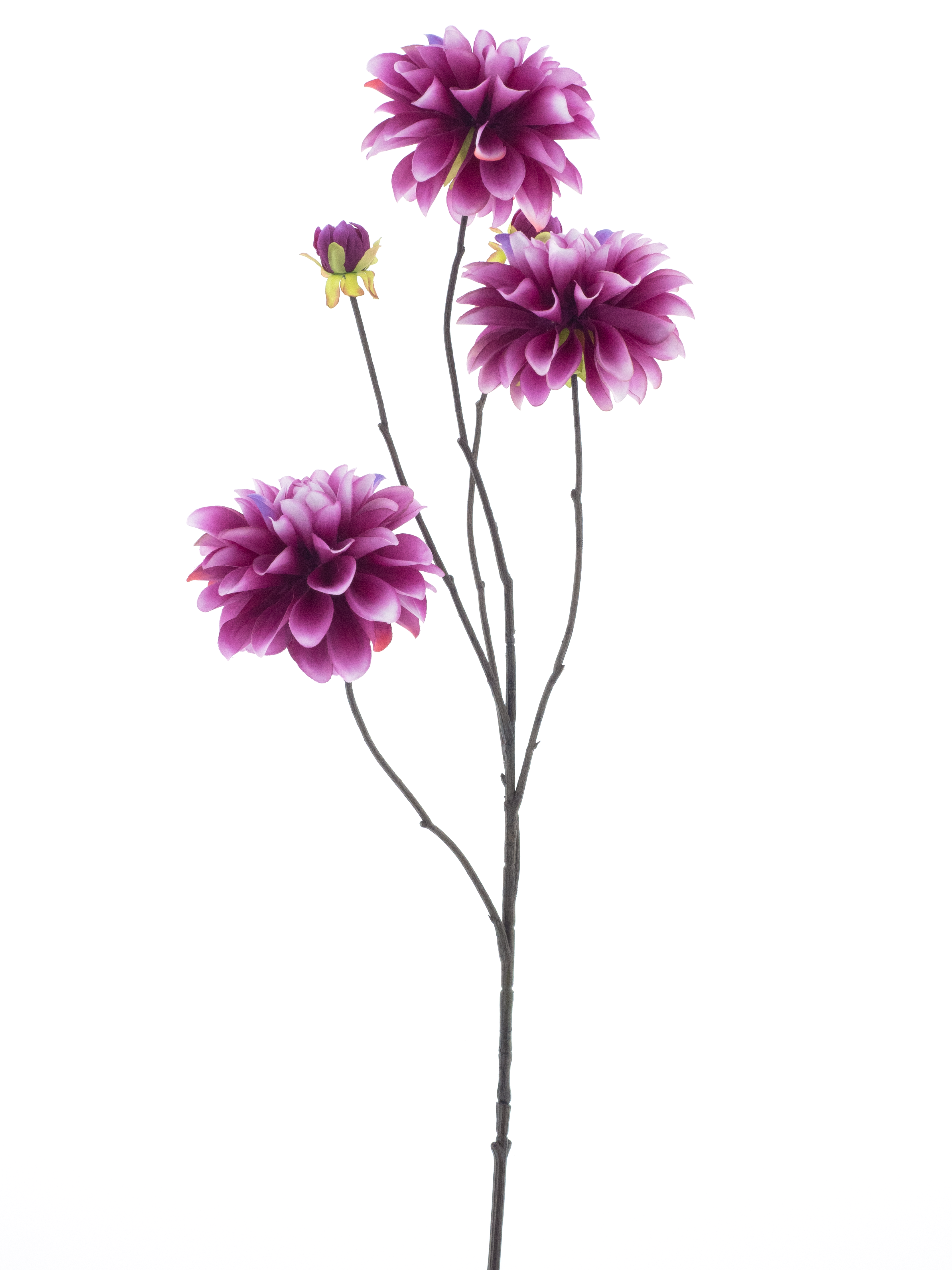 Dahlia spray Capitolbeauty 89cm
