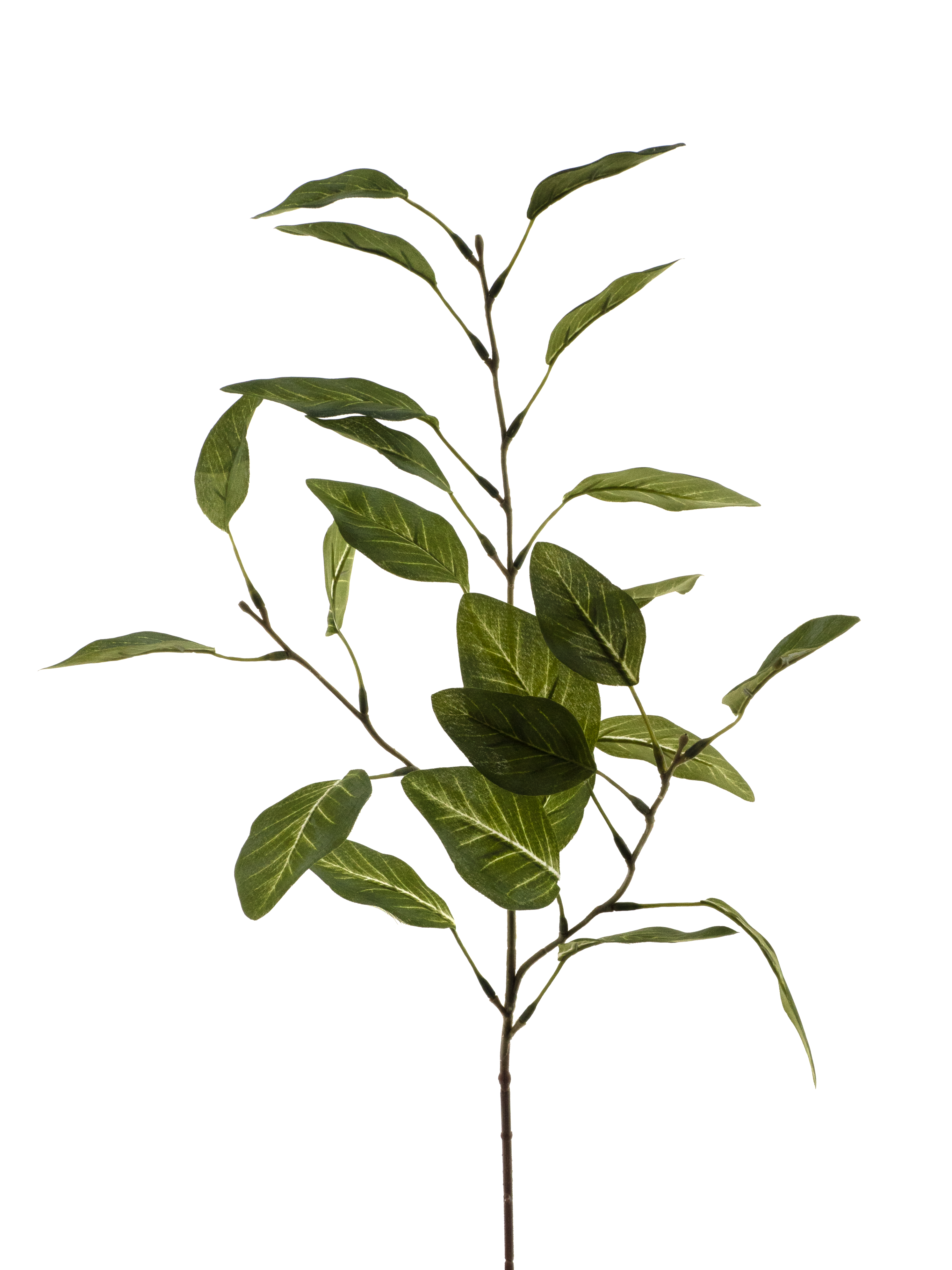 Eucalyptus leafspray green 68cm
