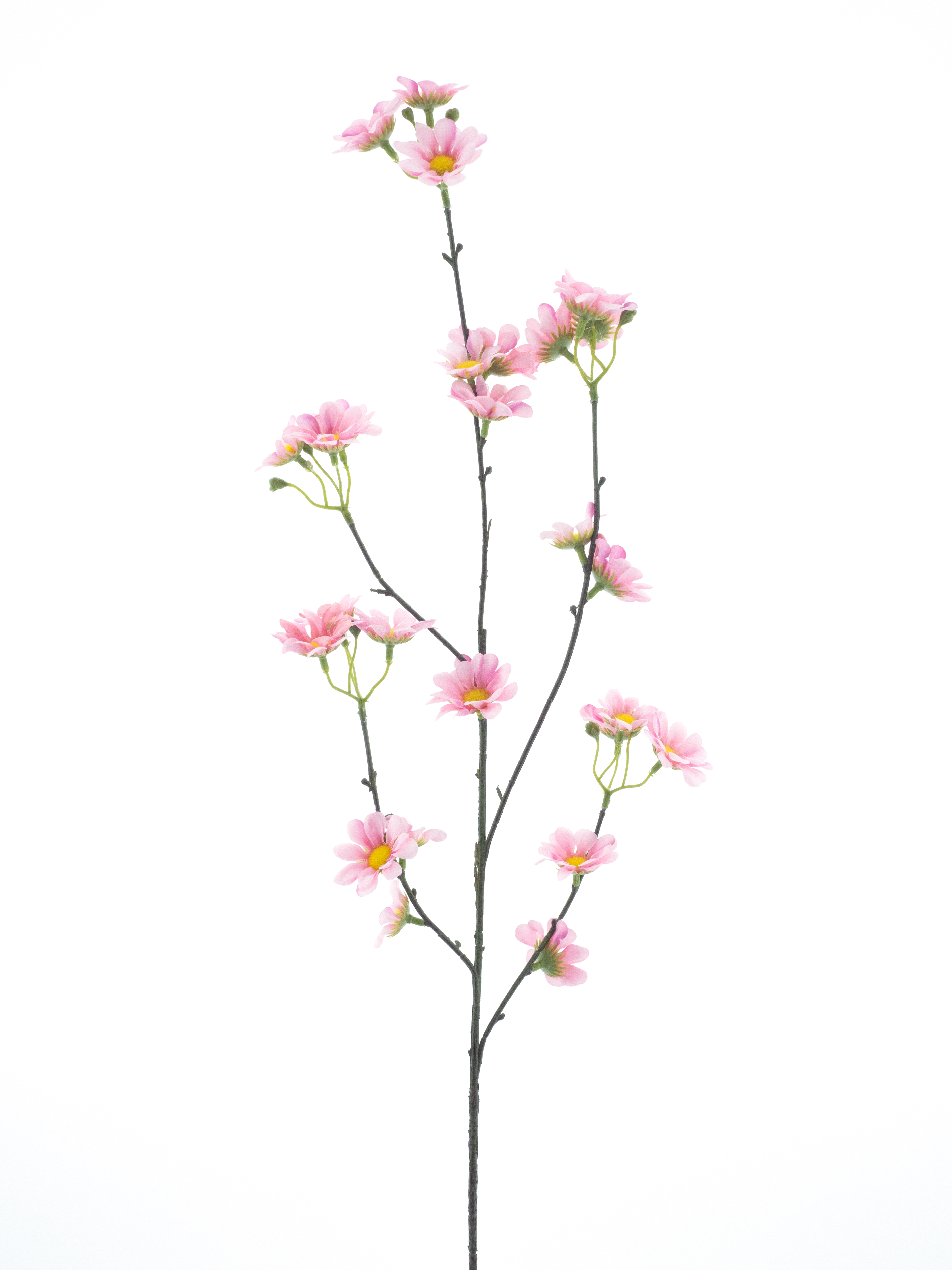 Daisy spray Moriepink 83cm
