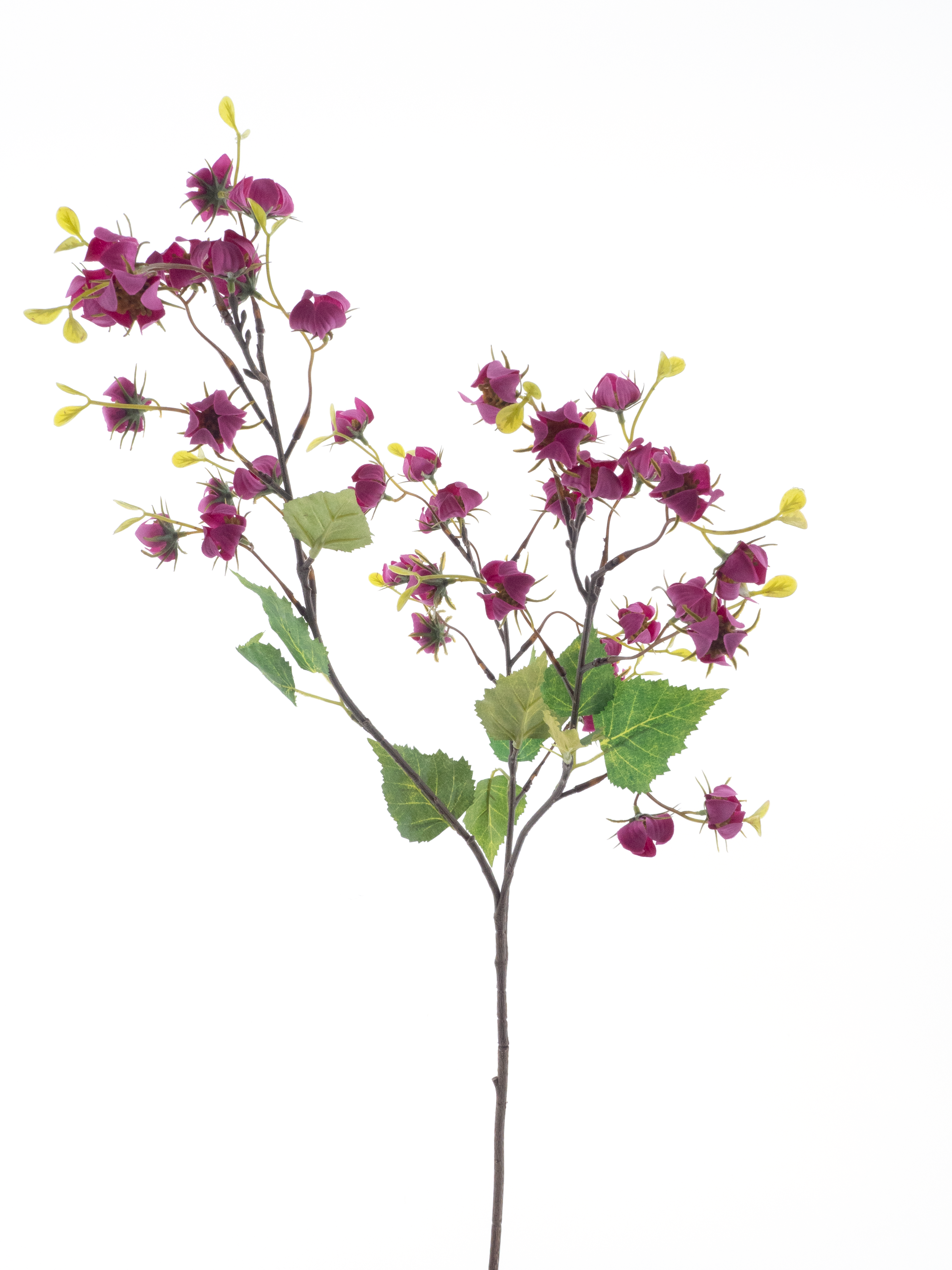 Mini physalis sprayred 92cm