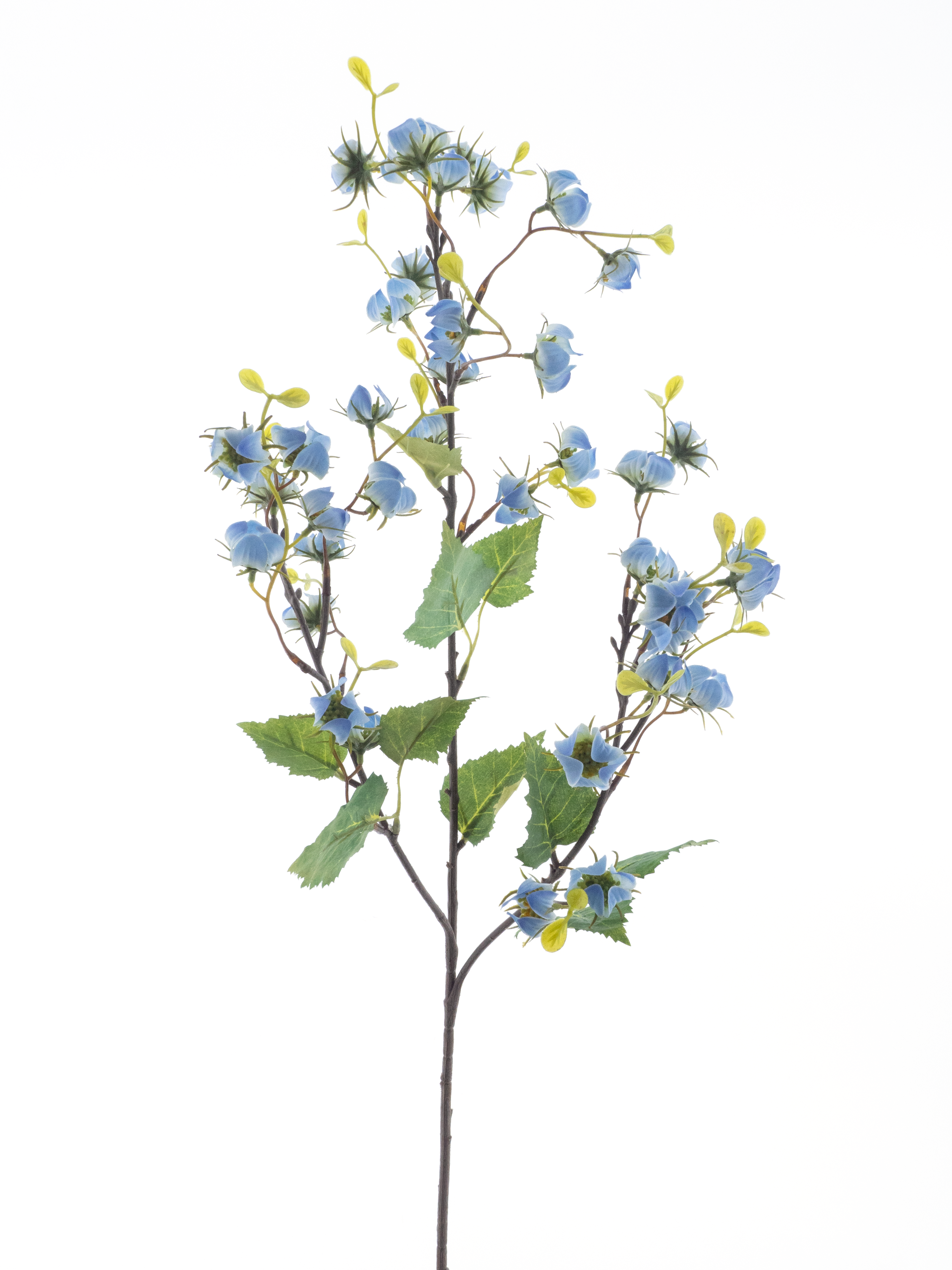 Mini physalis spray blue 92cm