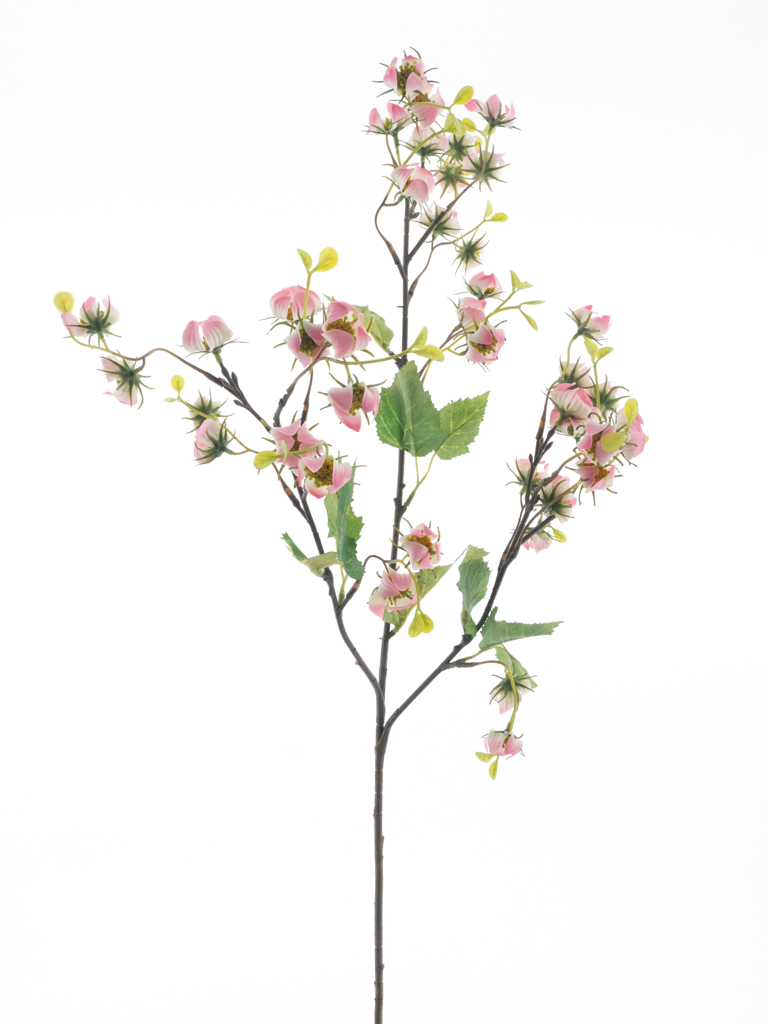 Mini physalis spray pink 92cm