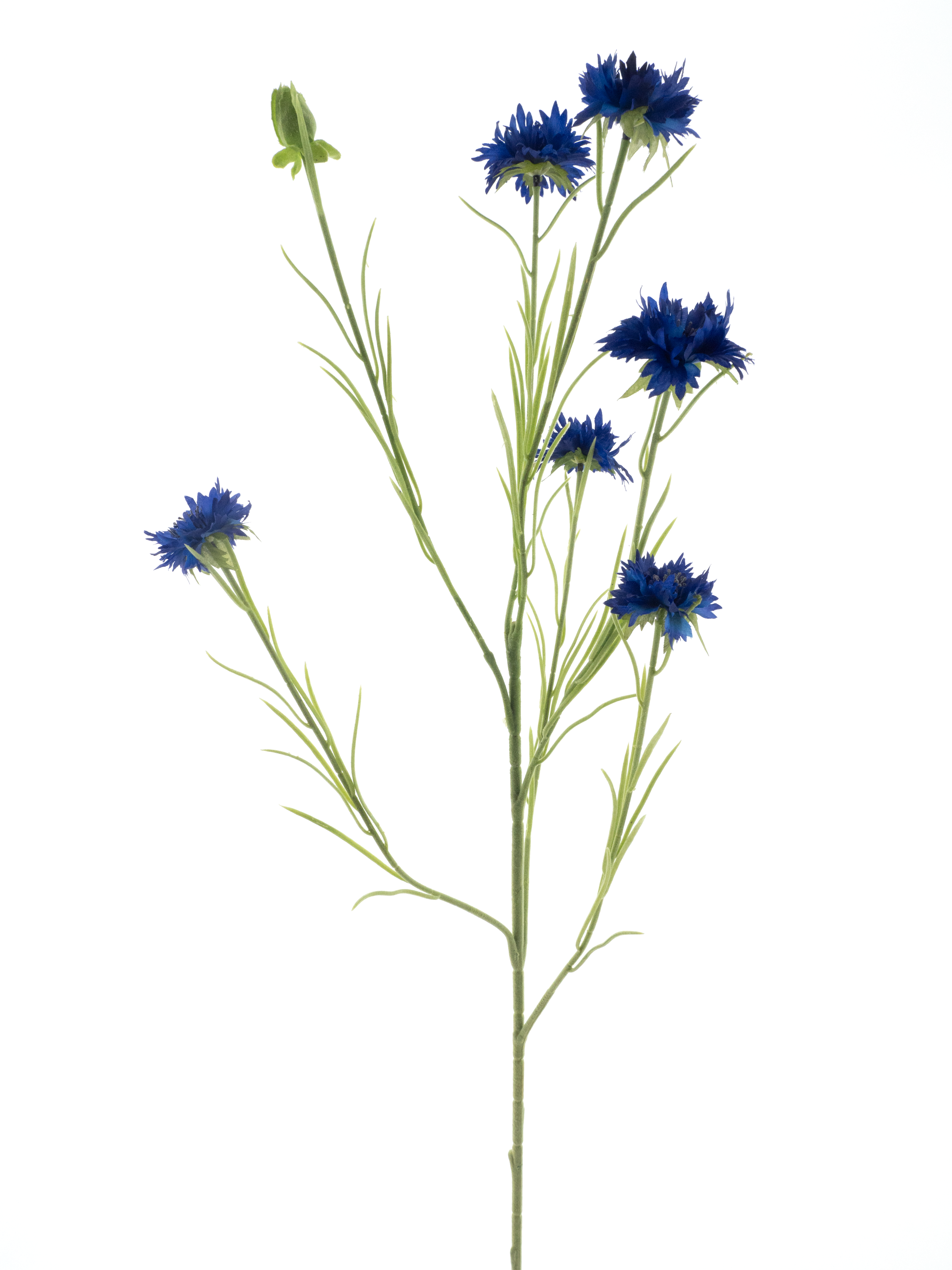 Cornflower spray James dk blue 90cm
