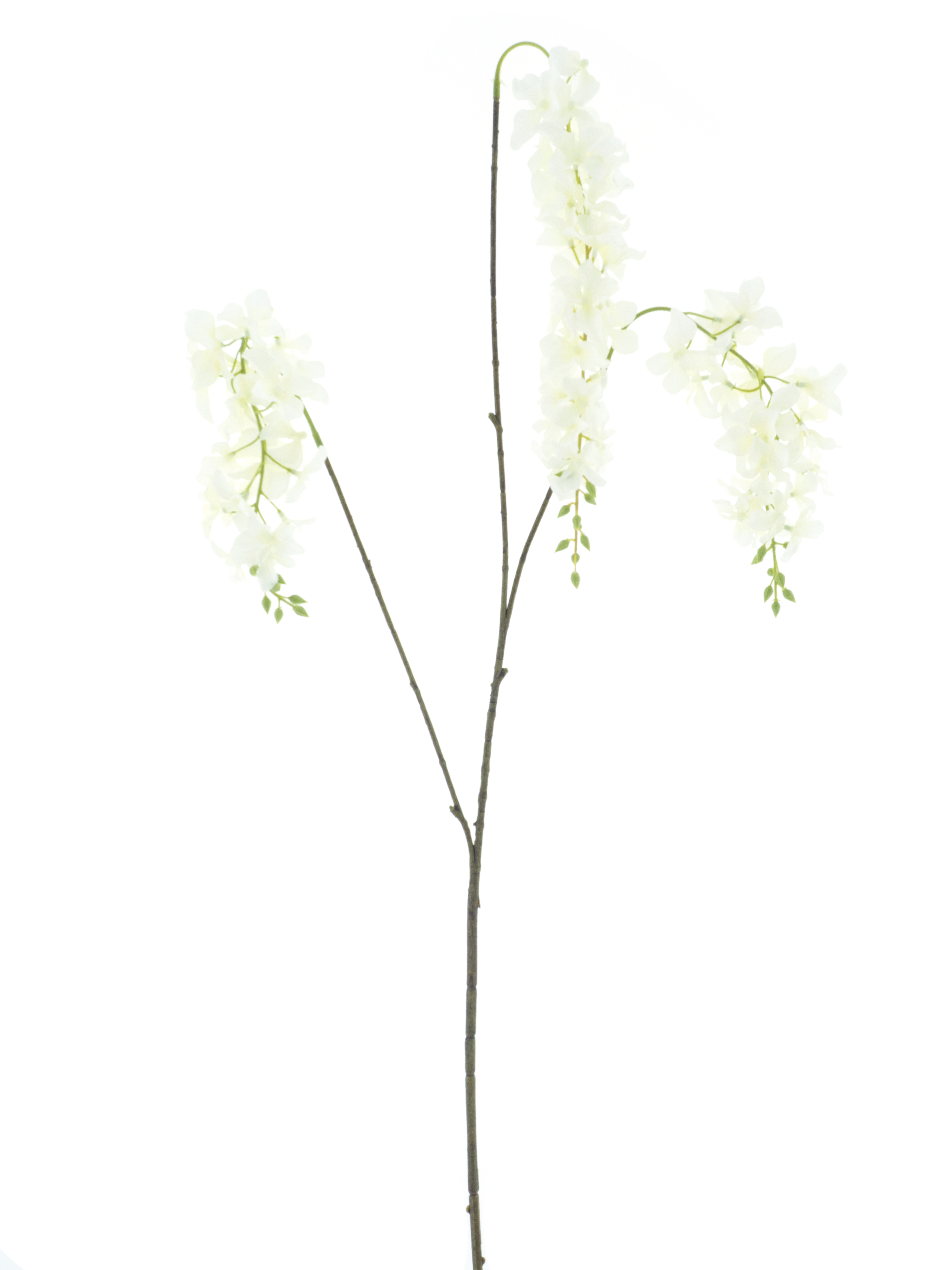 Larkspur spray cream 110cm