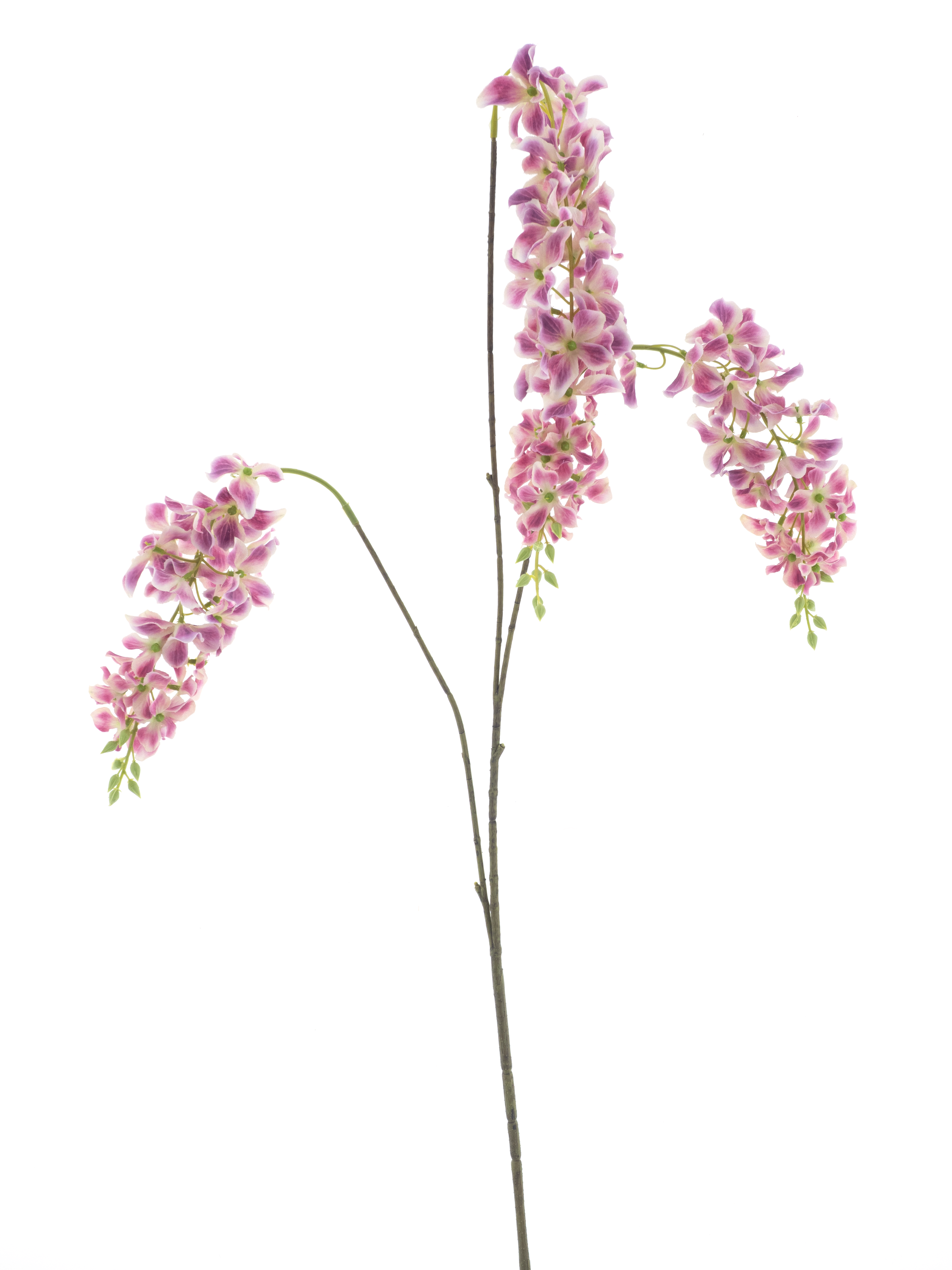 Larkspur spray aubergine 110cm