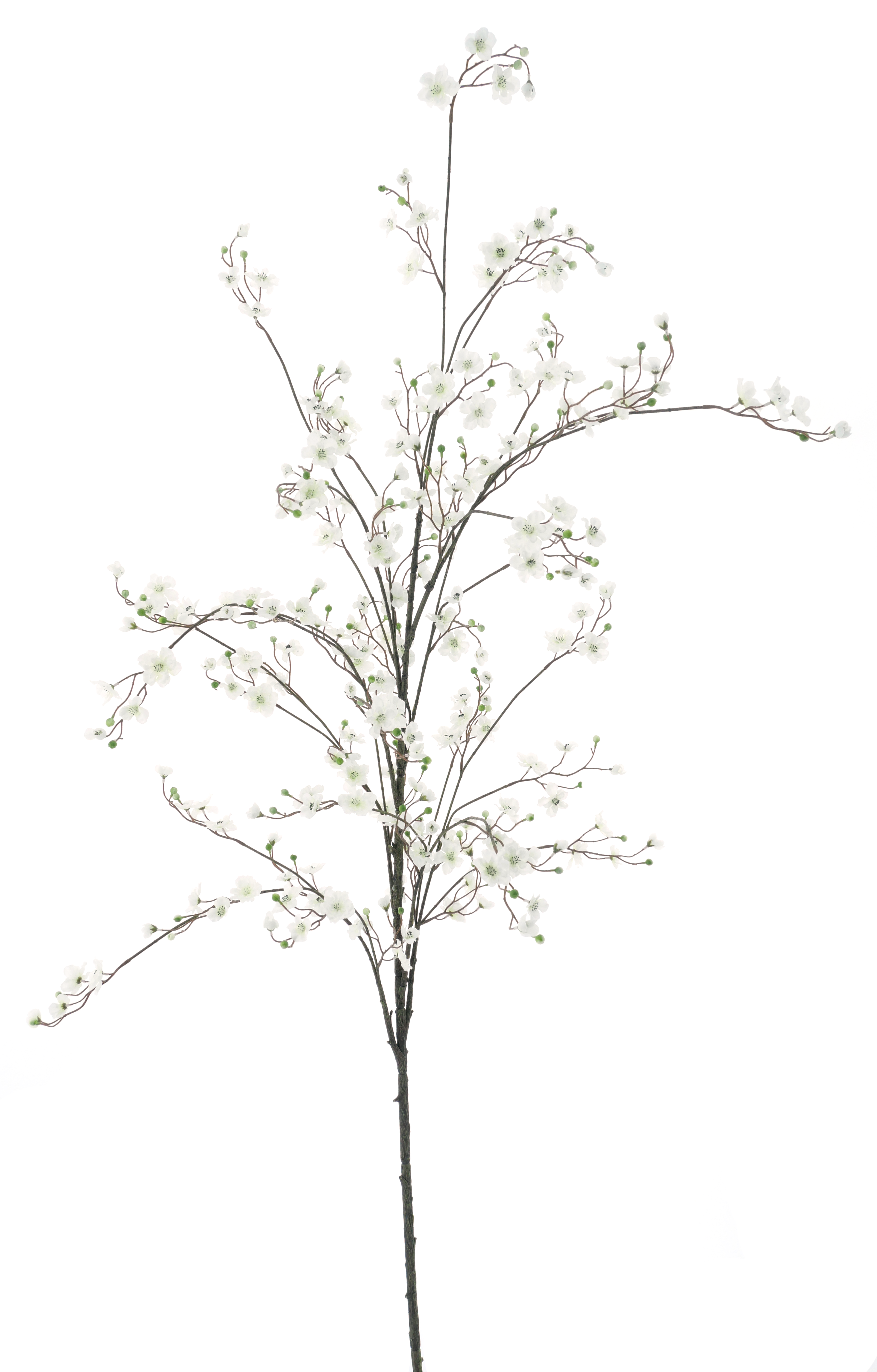 Peach blossombranche Kansaicream 203cm