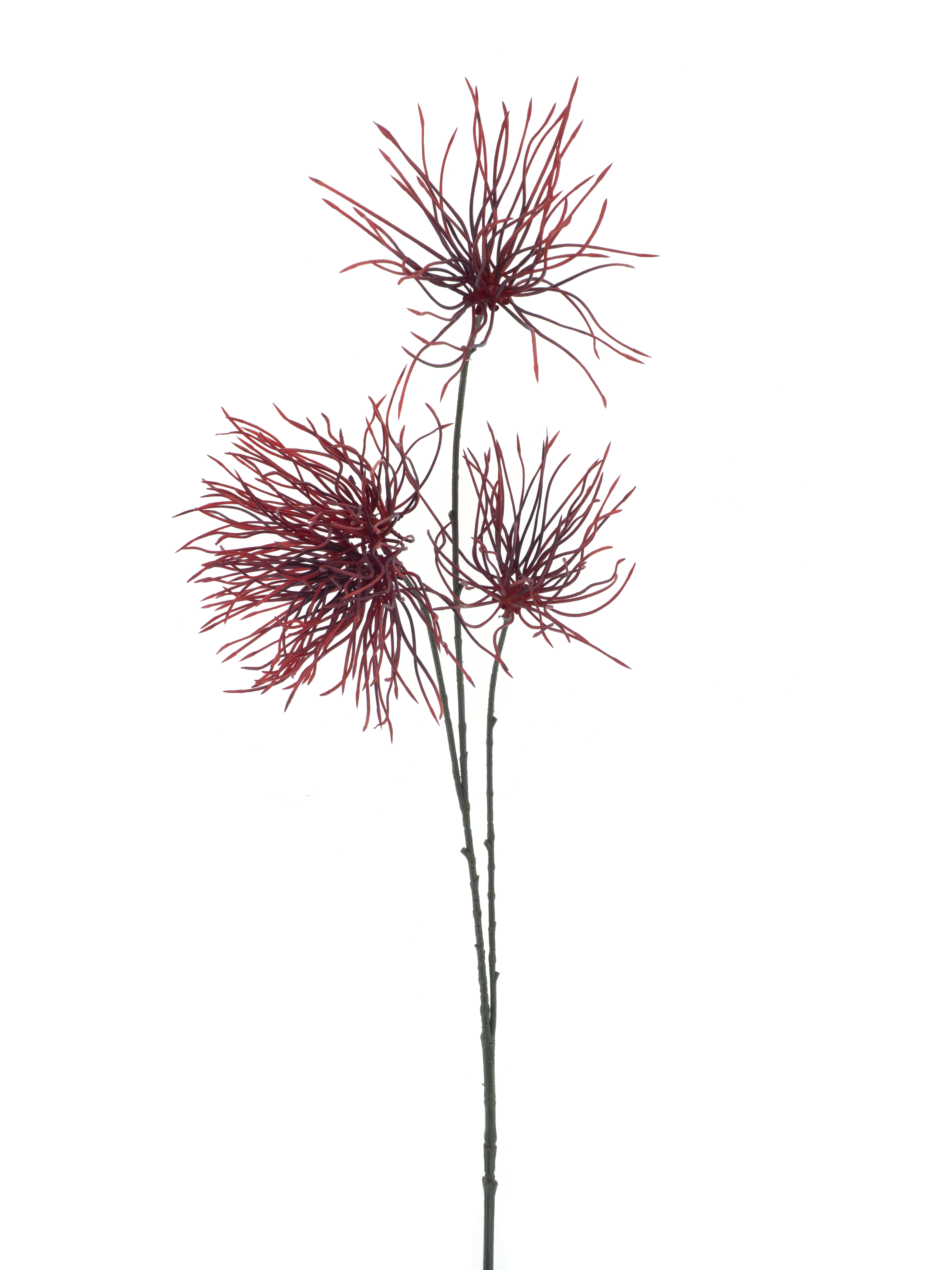 Weeds spray red 94cm