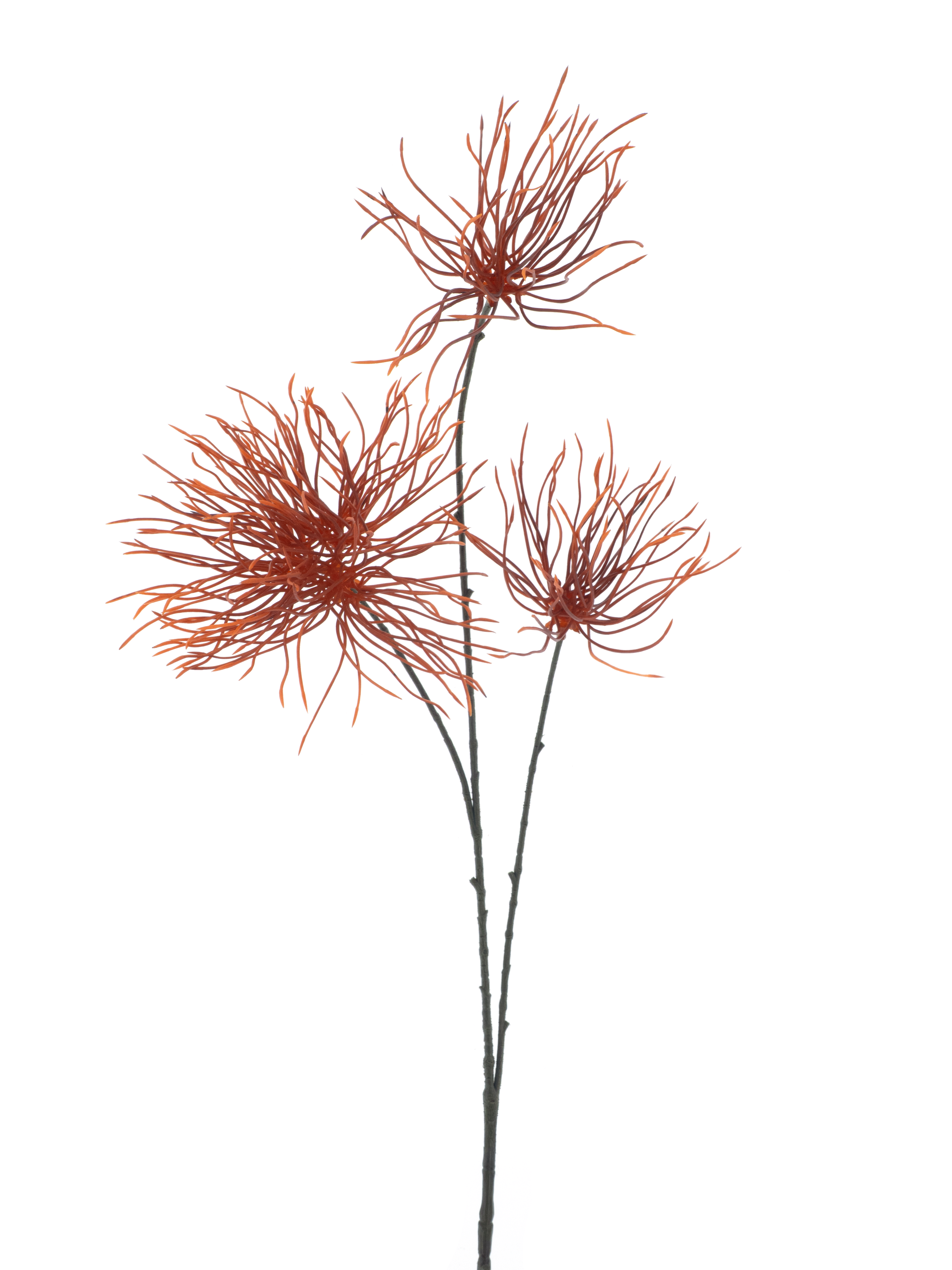 Weeds spray orange 94cm