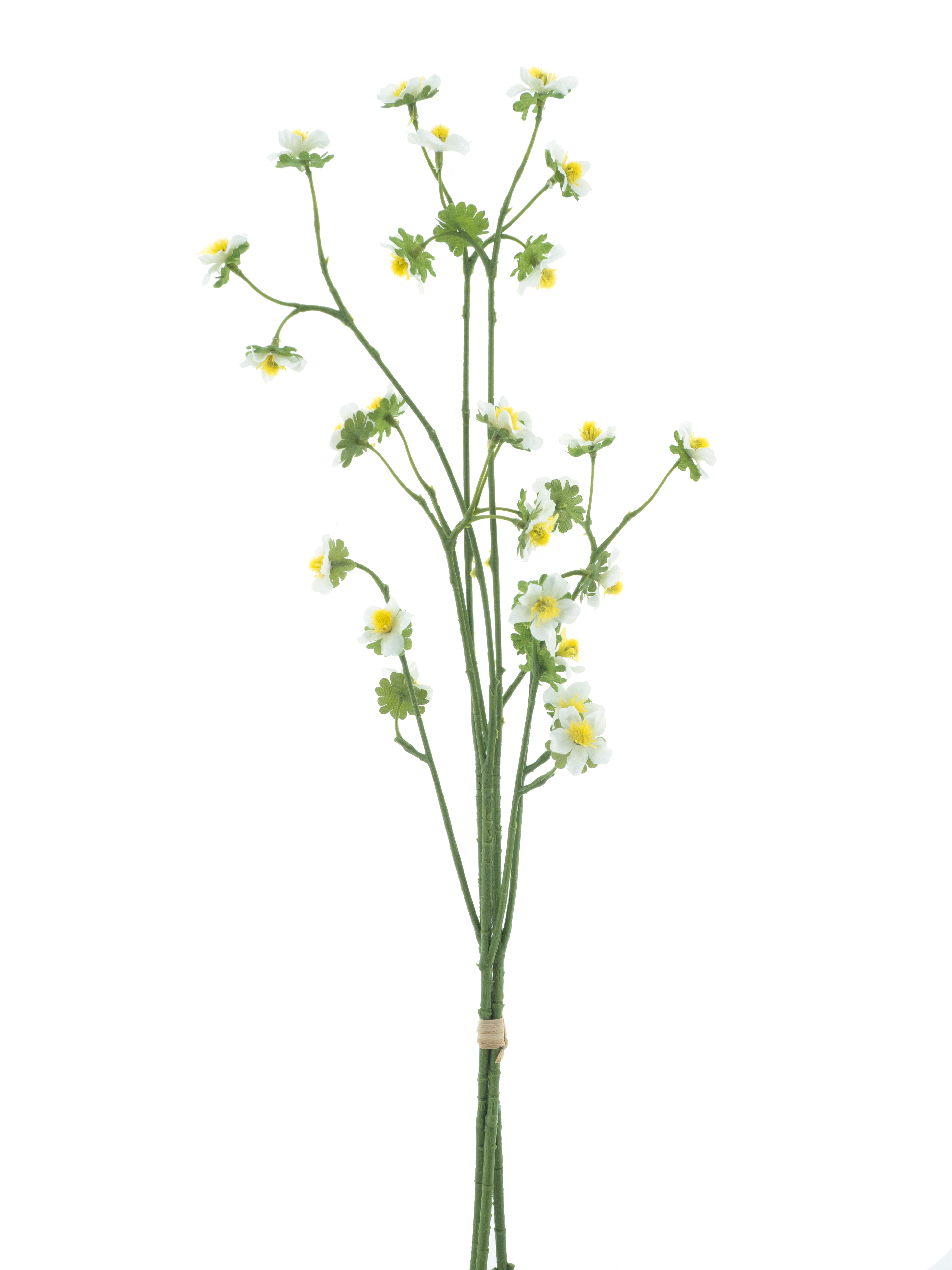 Mini daisy bundle white 55cm