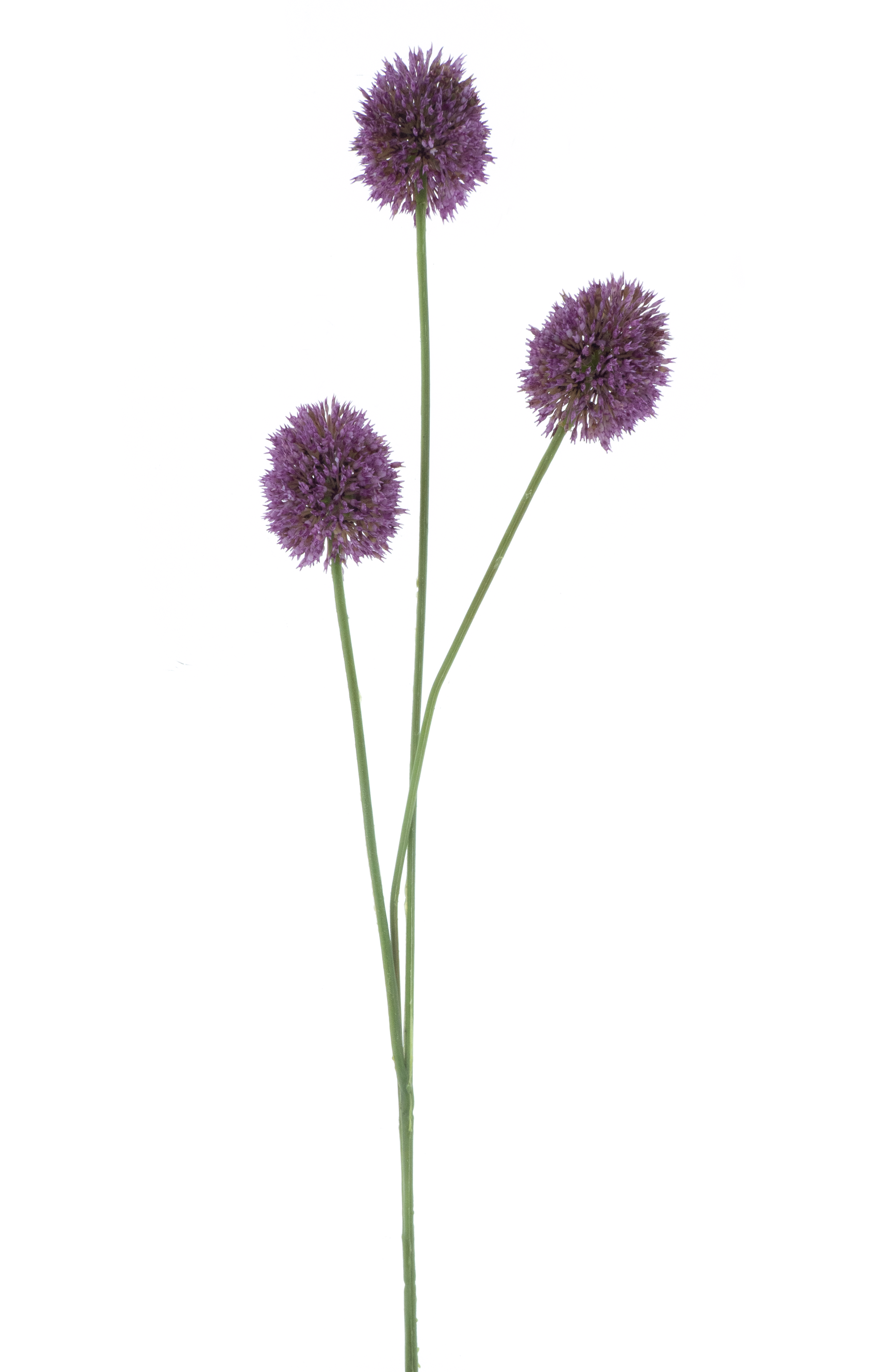 Allium spray aubergine 81cm
