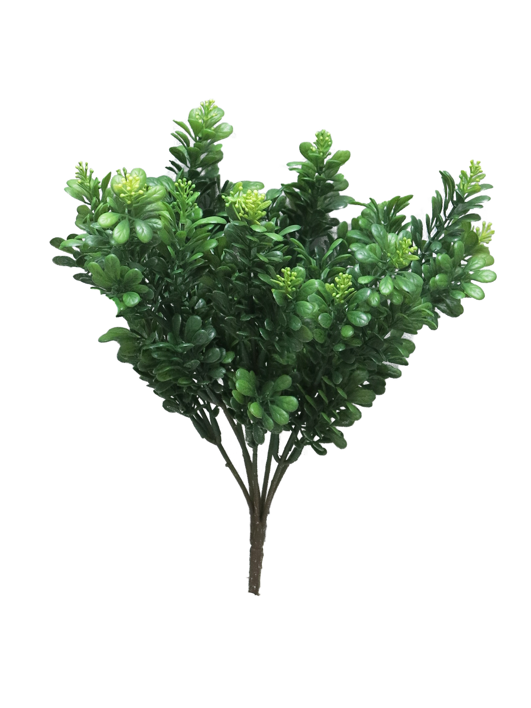 Myrthe lvs bush Lia green 33cm