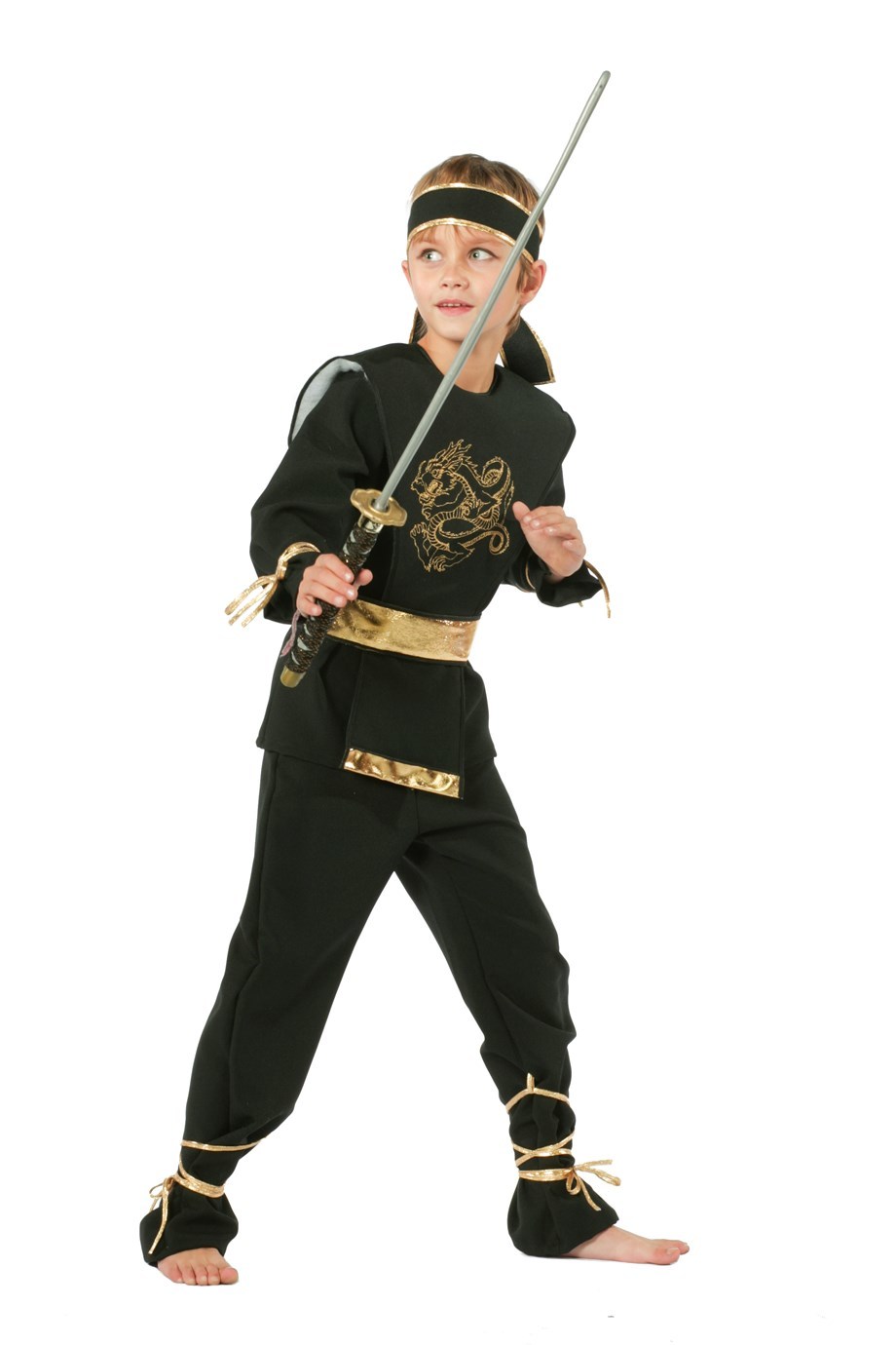 Ninja dragon