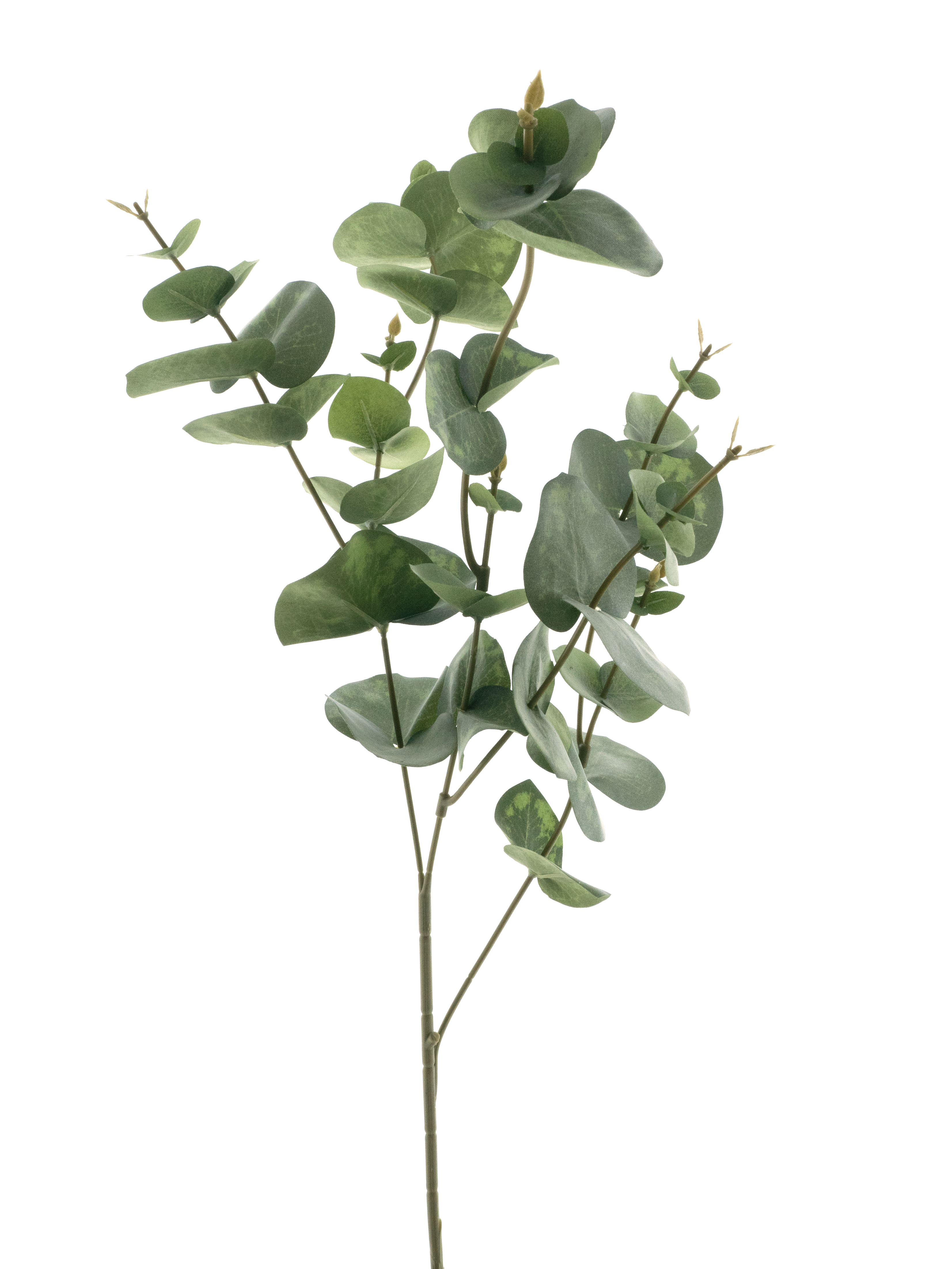 Eucalyptus spray spring green 81cm