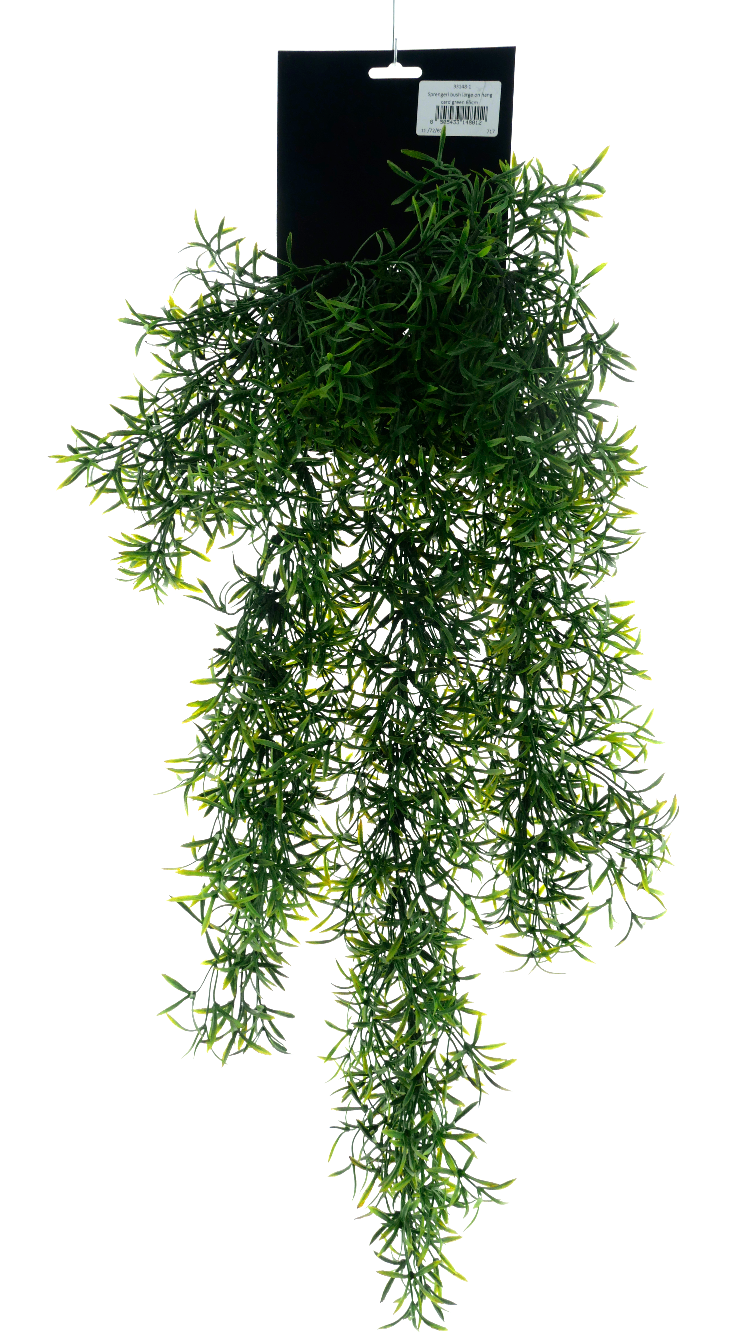 Sprengeri bush large on hang card green 65cm