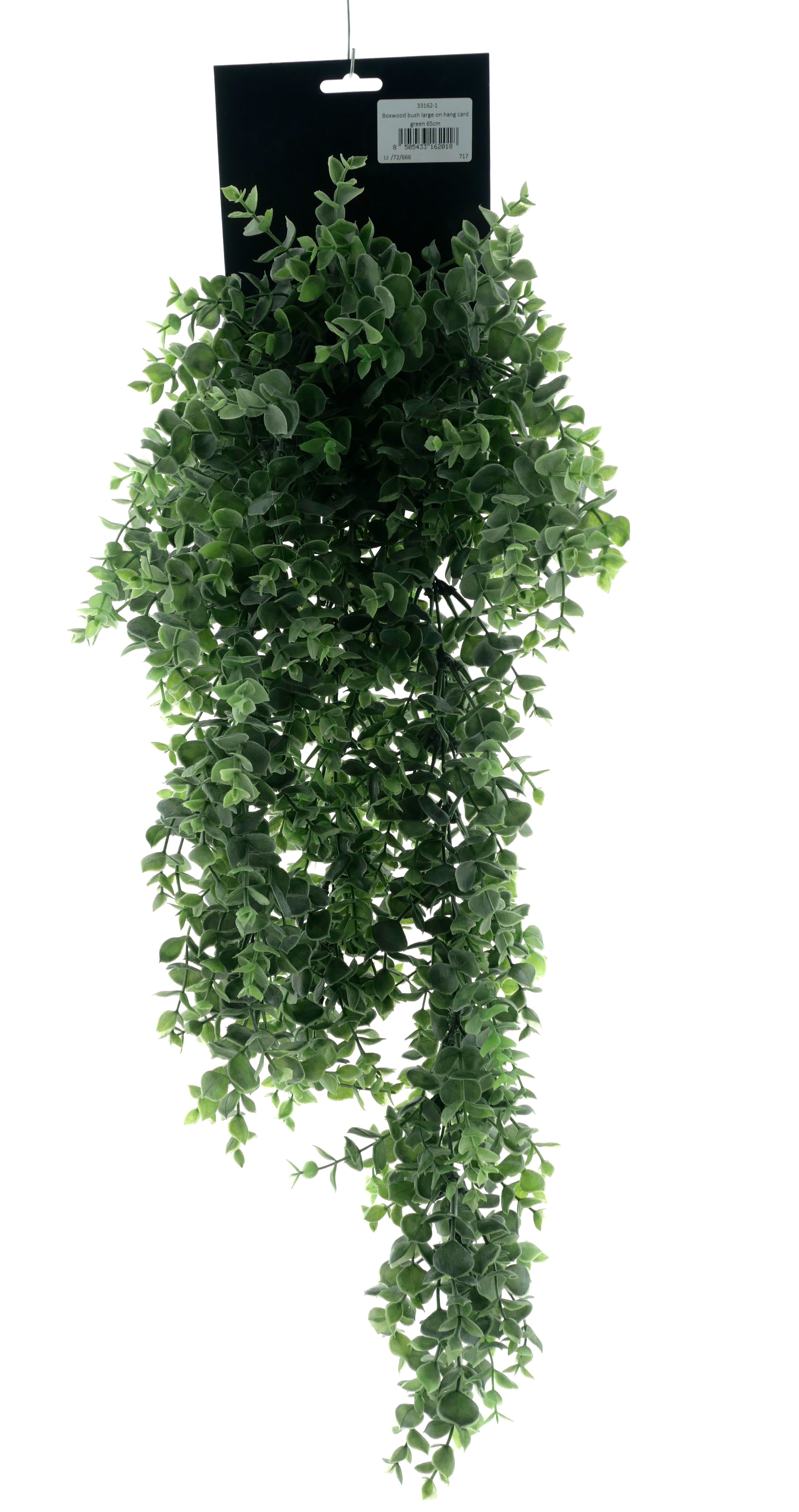 Boxwood bush large on hang card green 65cm