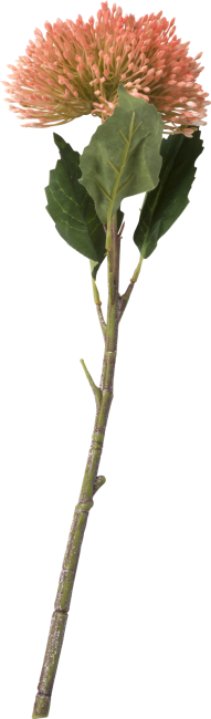 Sedum branch 43cm