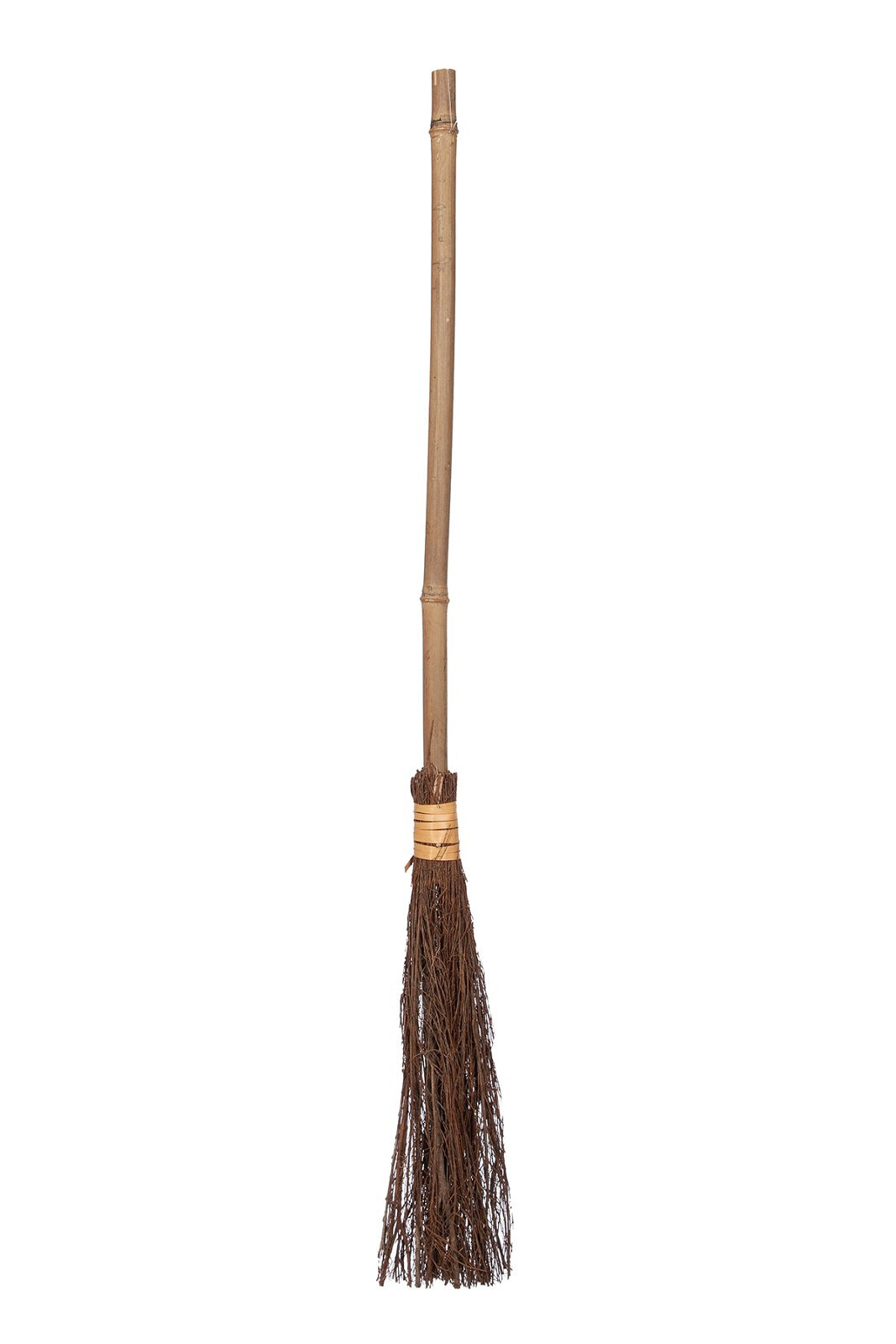 Heksenbezem 1 meter
