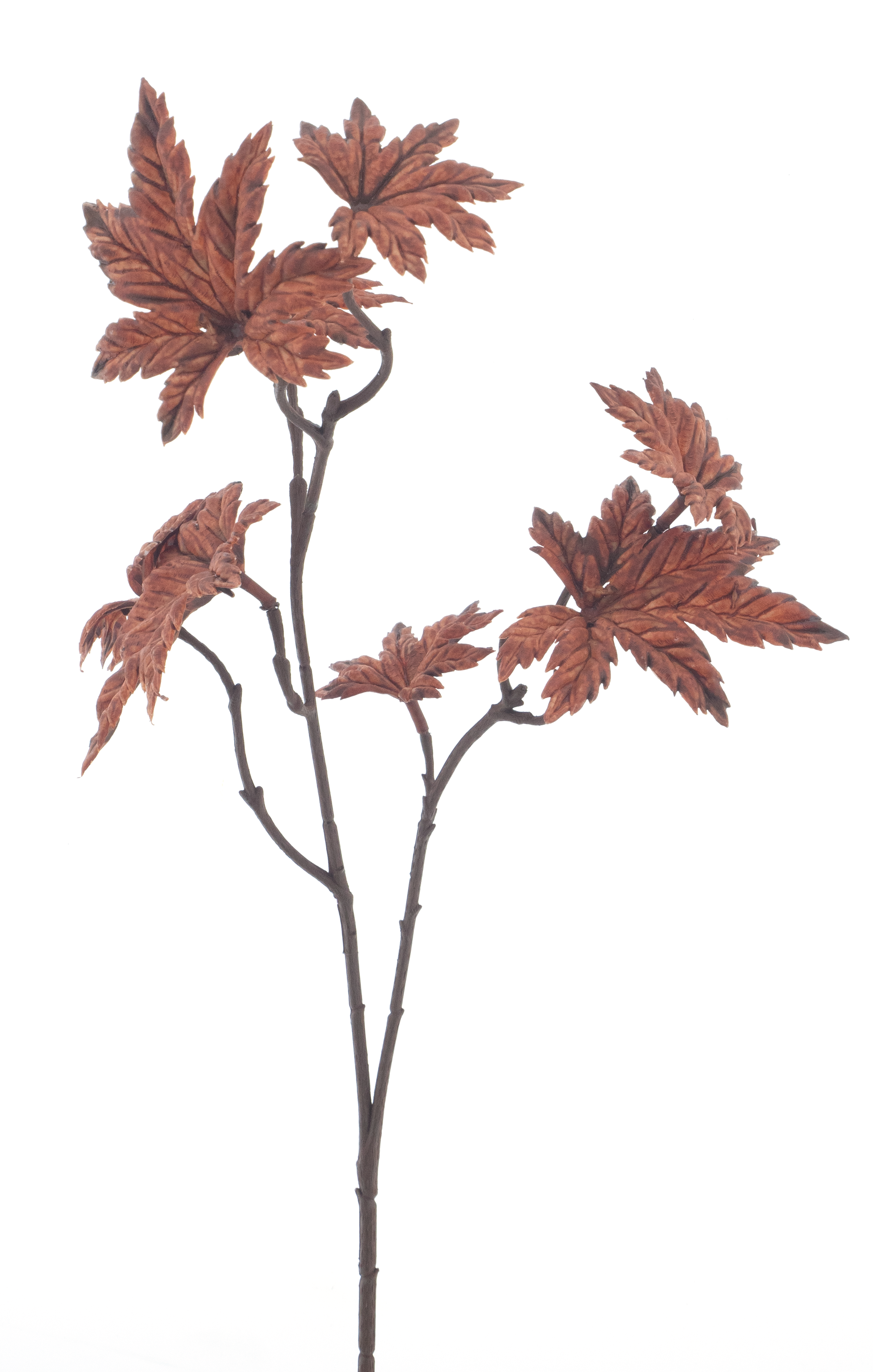Rock maple spray copper 68cm