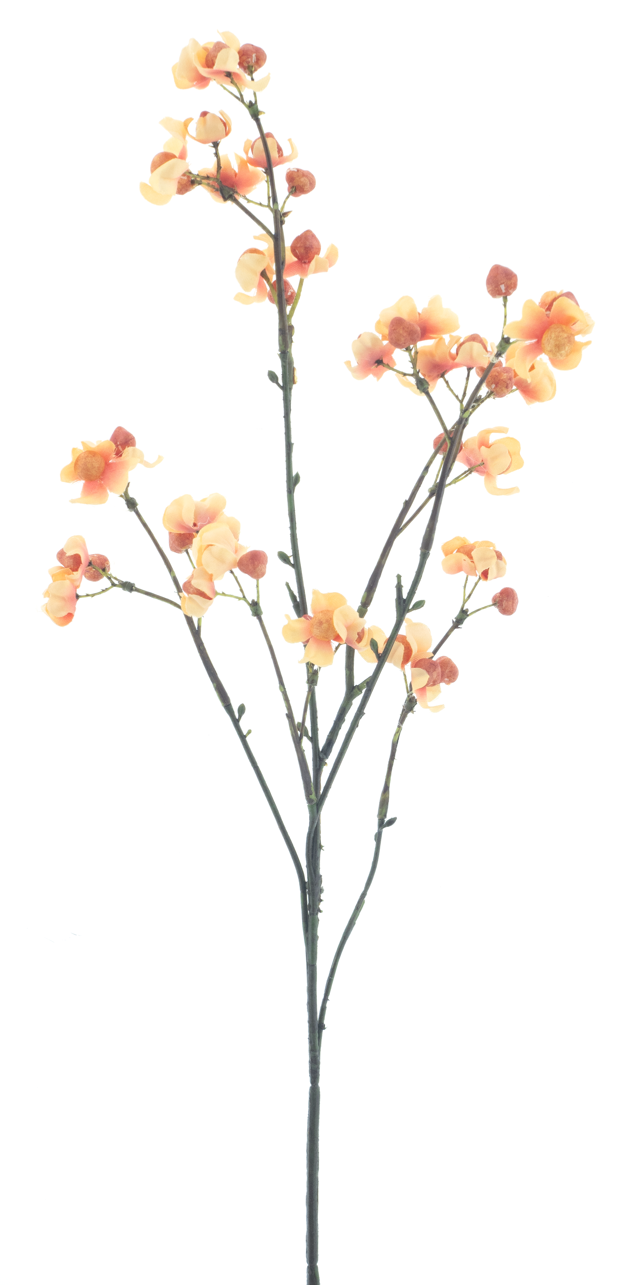 Bittersweet berry spray yellow 66cm
