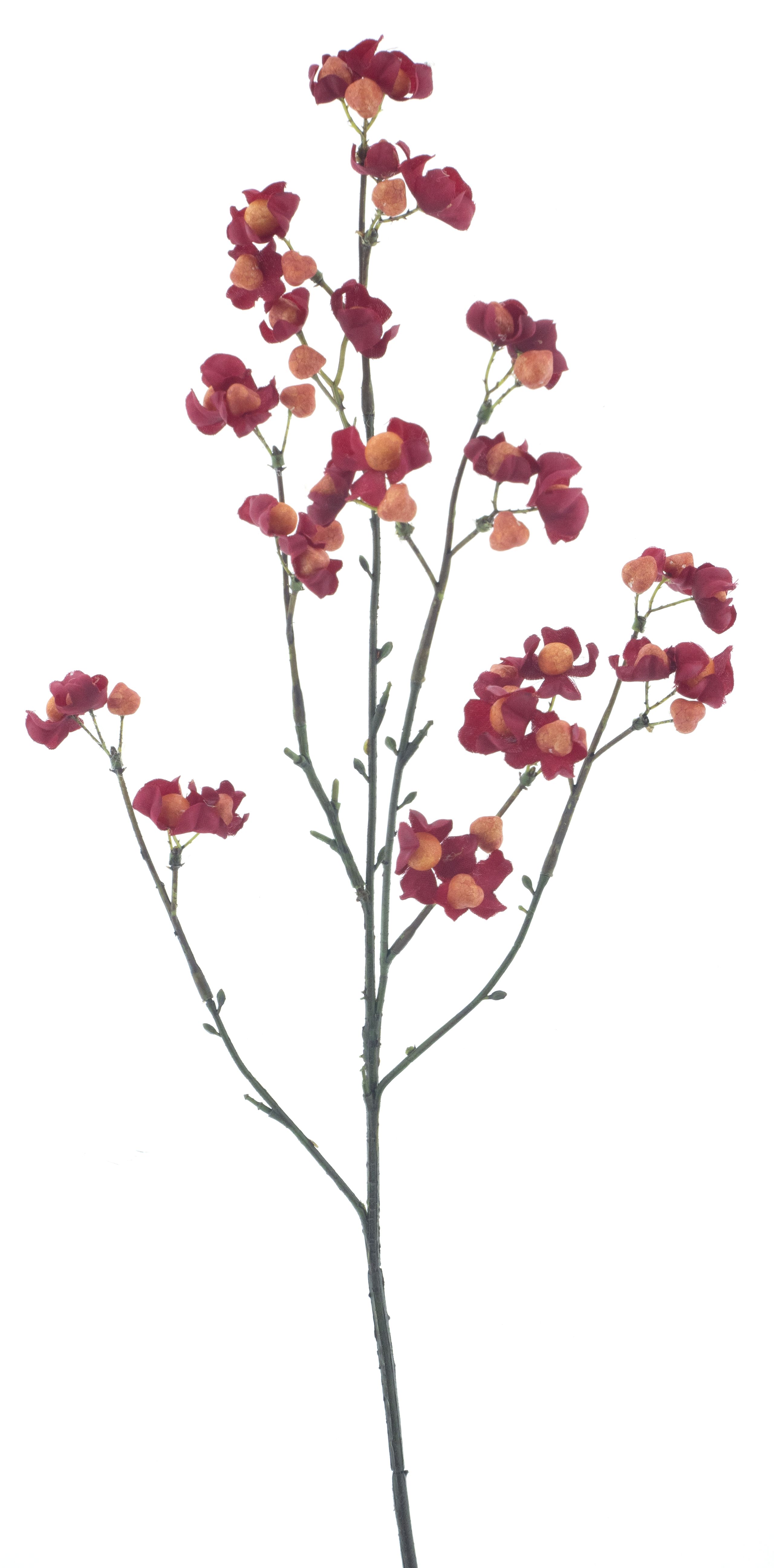 Bittersweet berry spray red 66cm