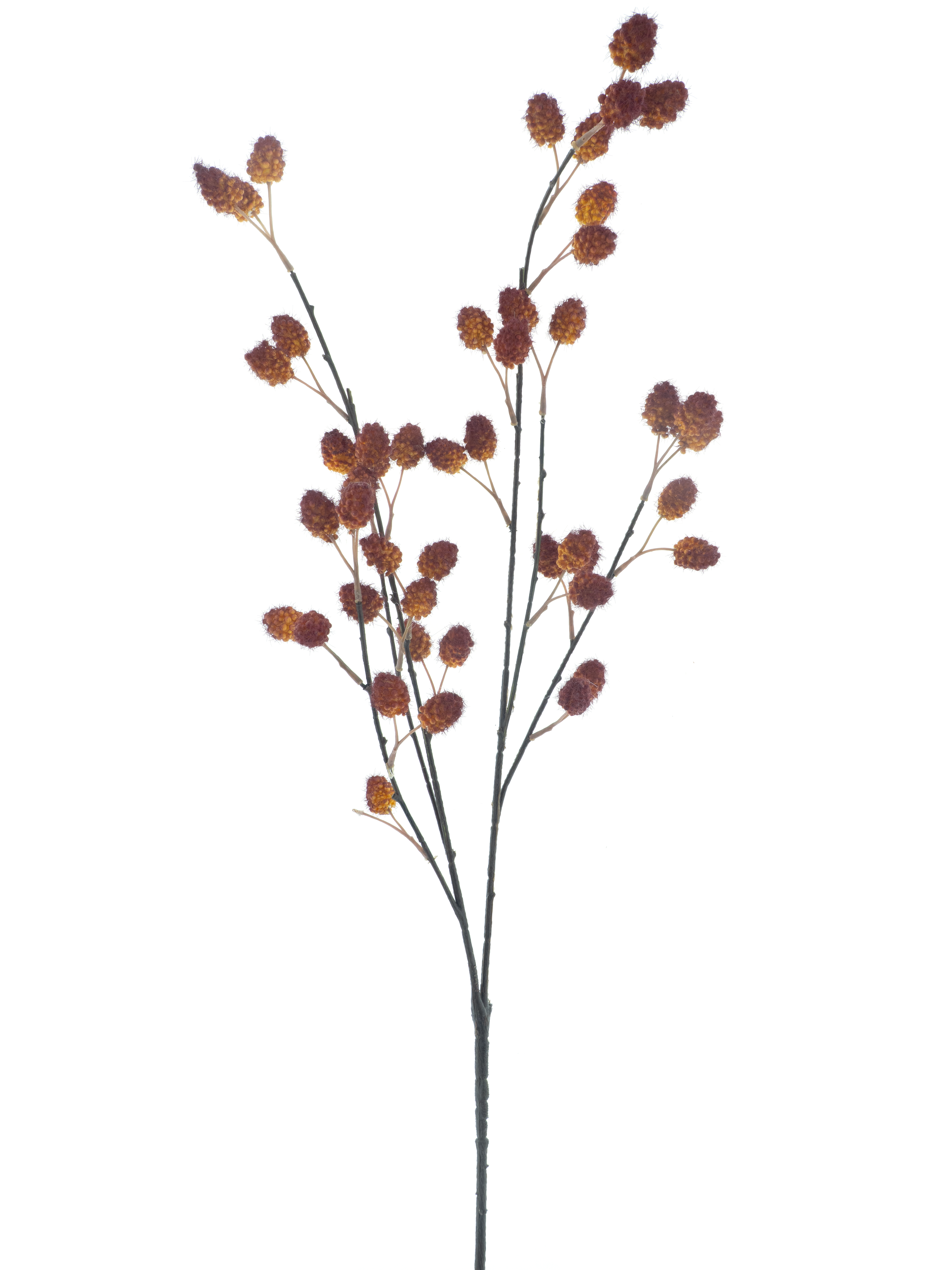 Rasberry spray orange 91cm
