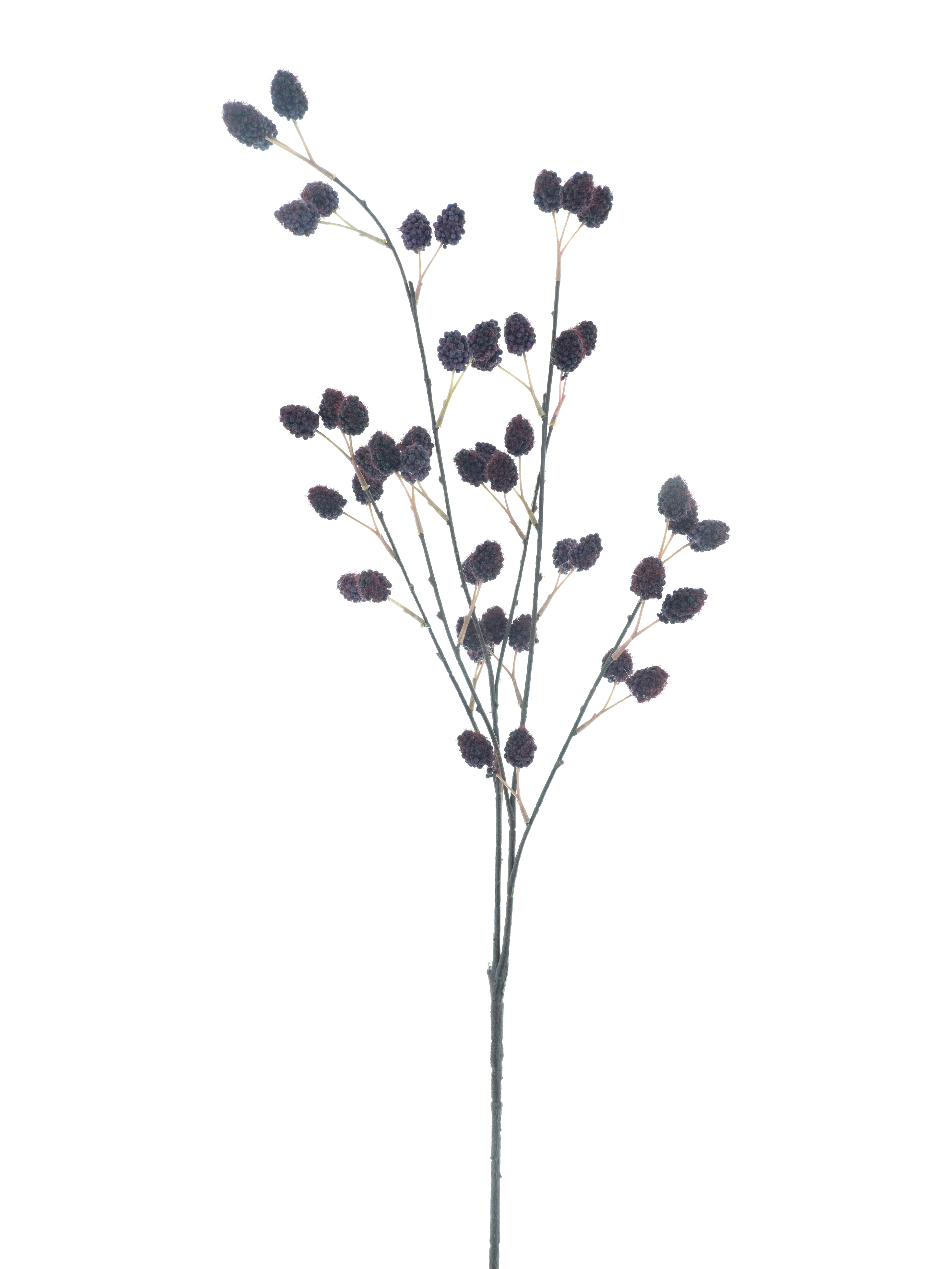 Rasberry spray purple 91cm