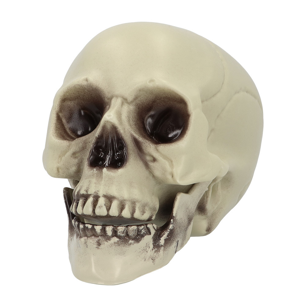 Schedel Whisperbone