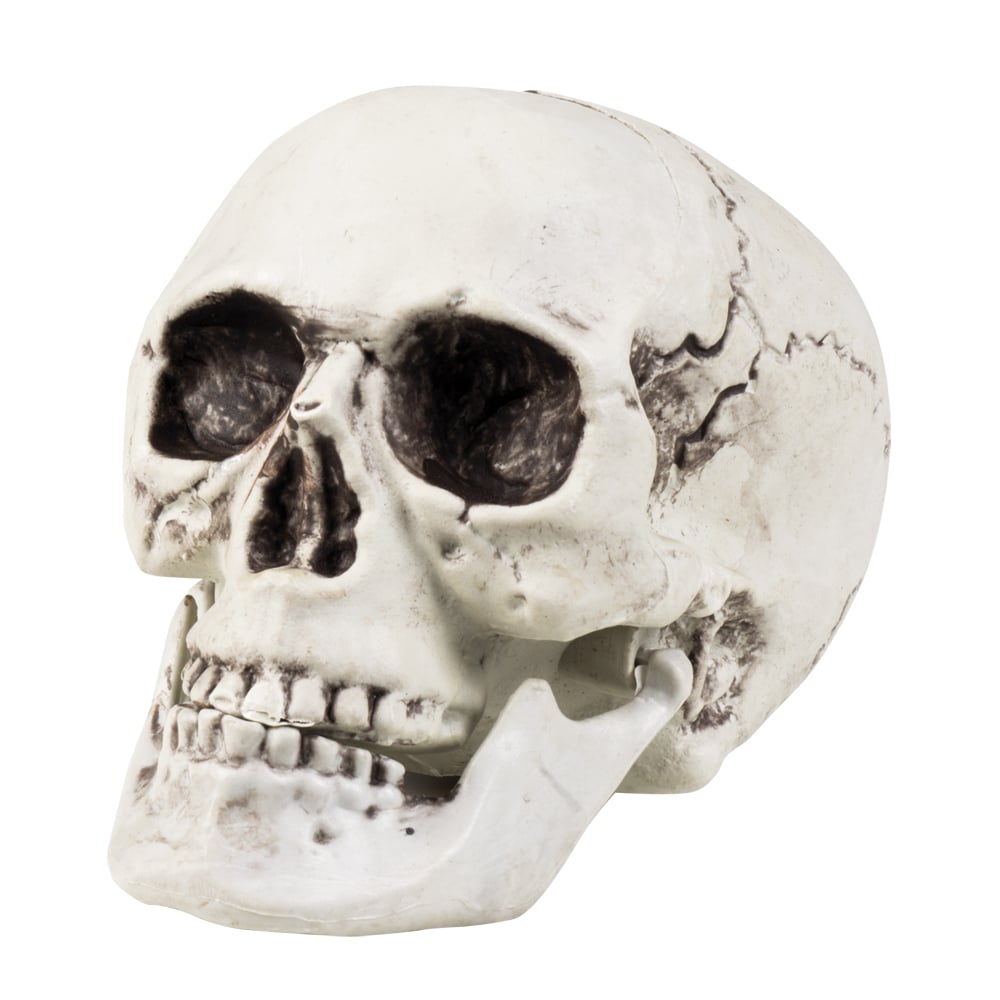 Schedel Mailla met beweegbare kaak 20x15cm