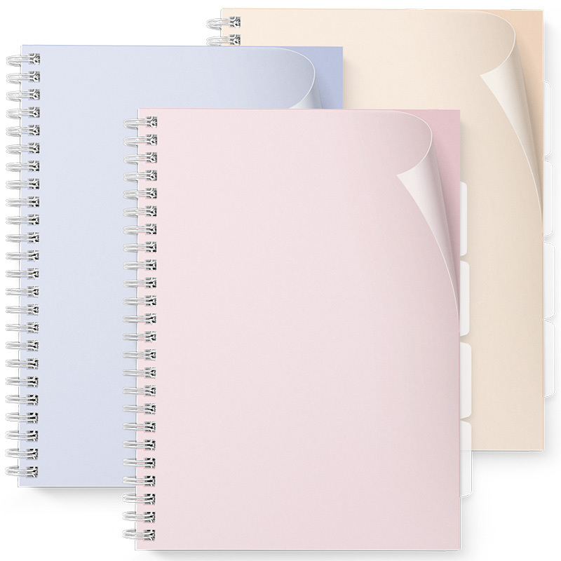 Projectboek A4 100 vel 4 tabs pastel afbeelding