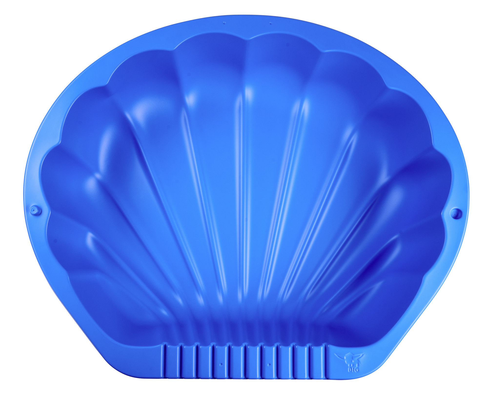 Big zandschelp afbeelding