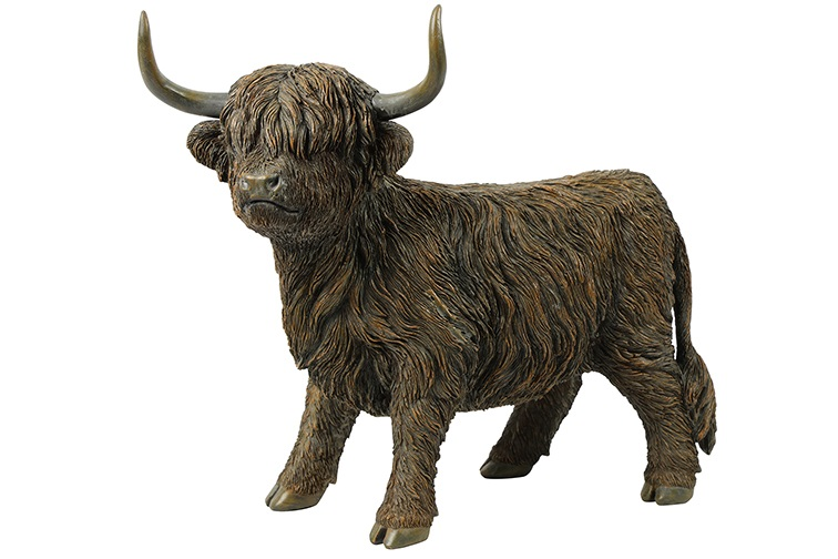 Schotse hooglander Ulla L bruin