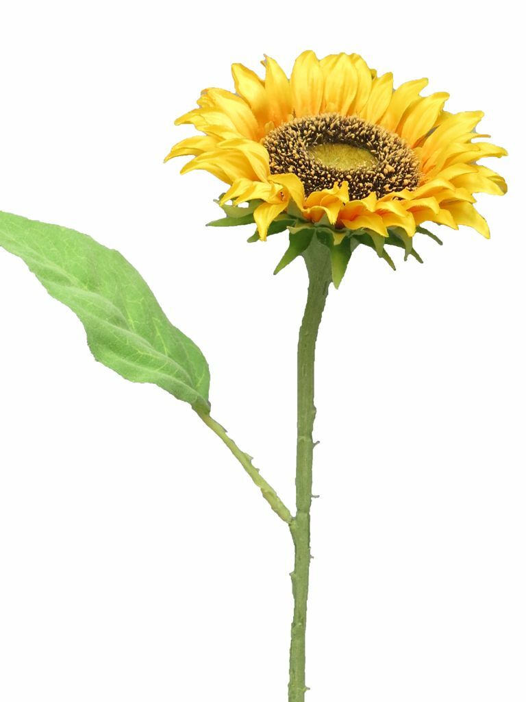 Sunflower Tuscany yellow small 42cm