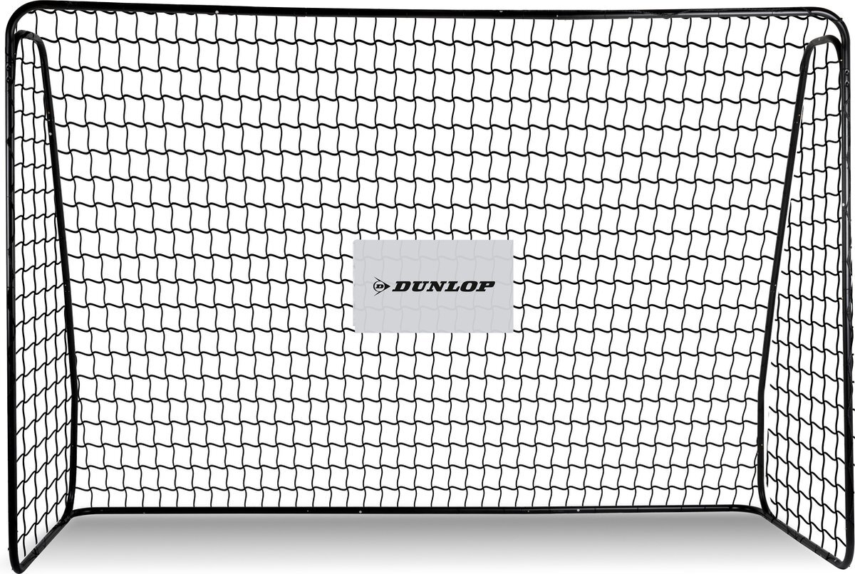 DUNLOP Voetbaldoel 300x205x120cm