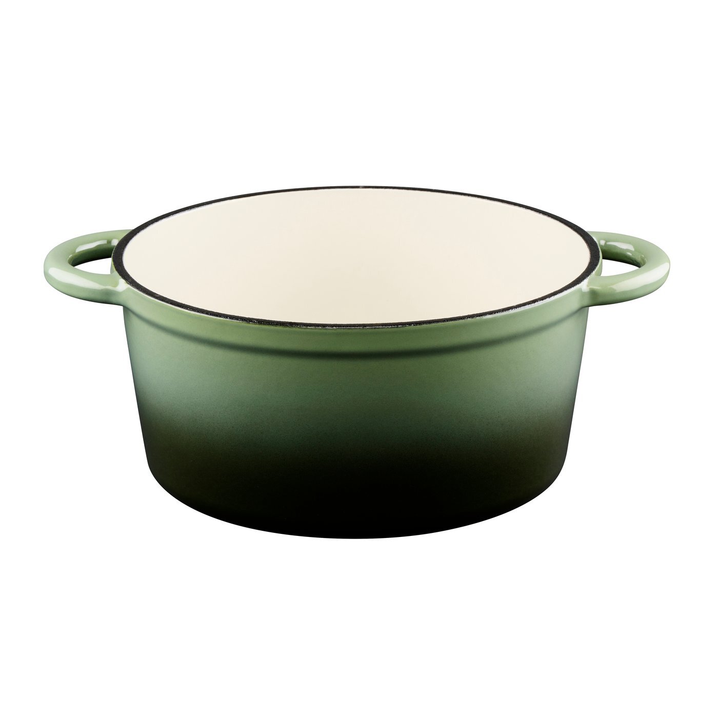 ALPINA braadpan groen 24cm 3,8 liter