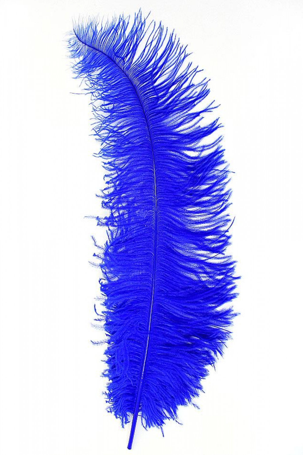 Spadonis veren blauw