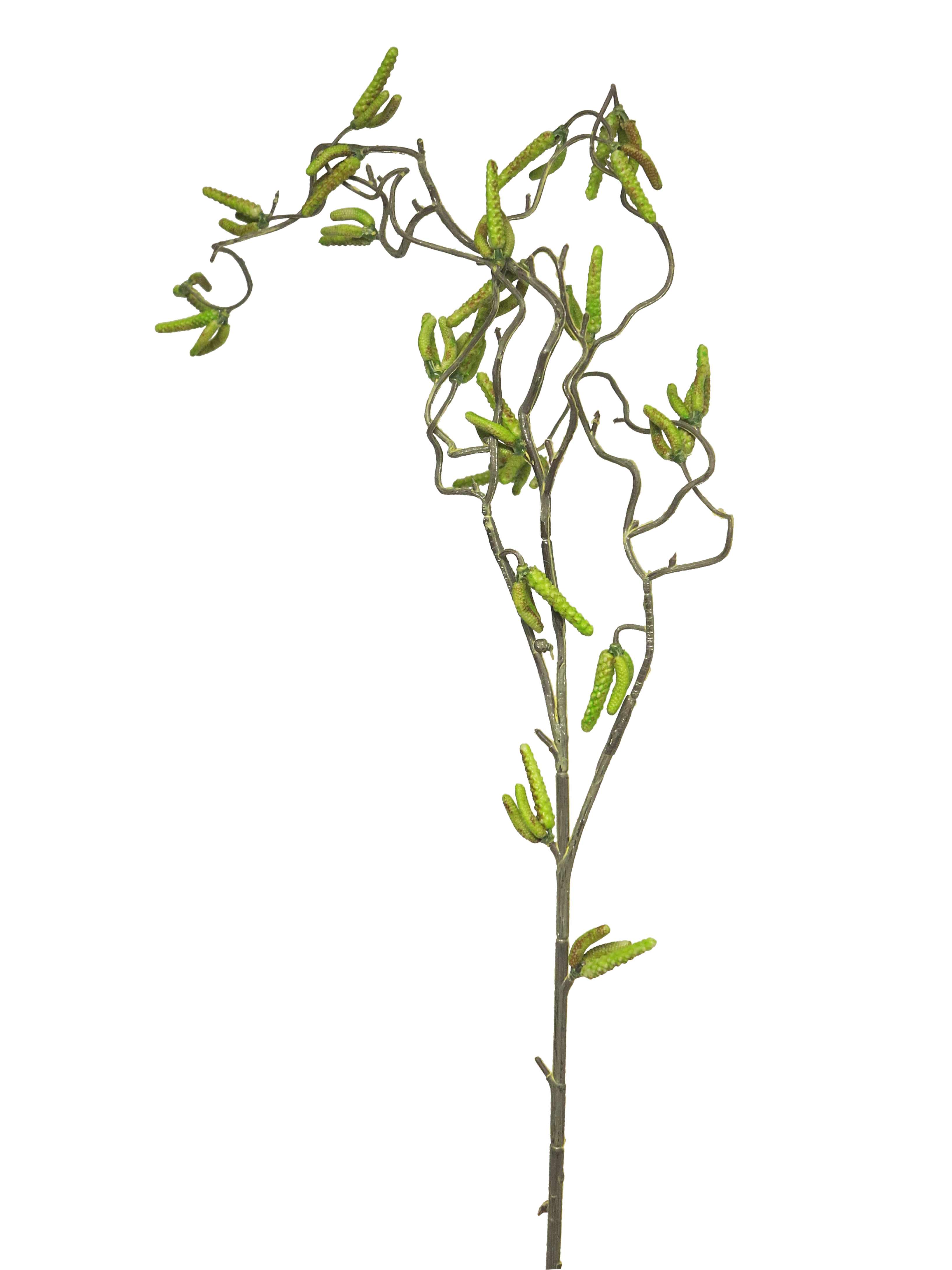 Willow twig spray lvs green 100cm