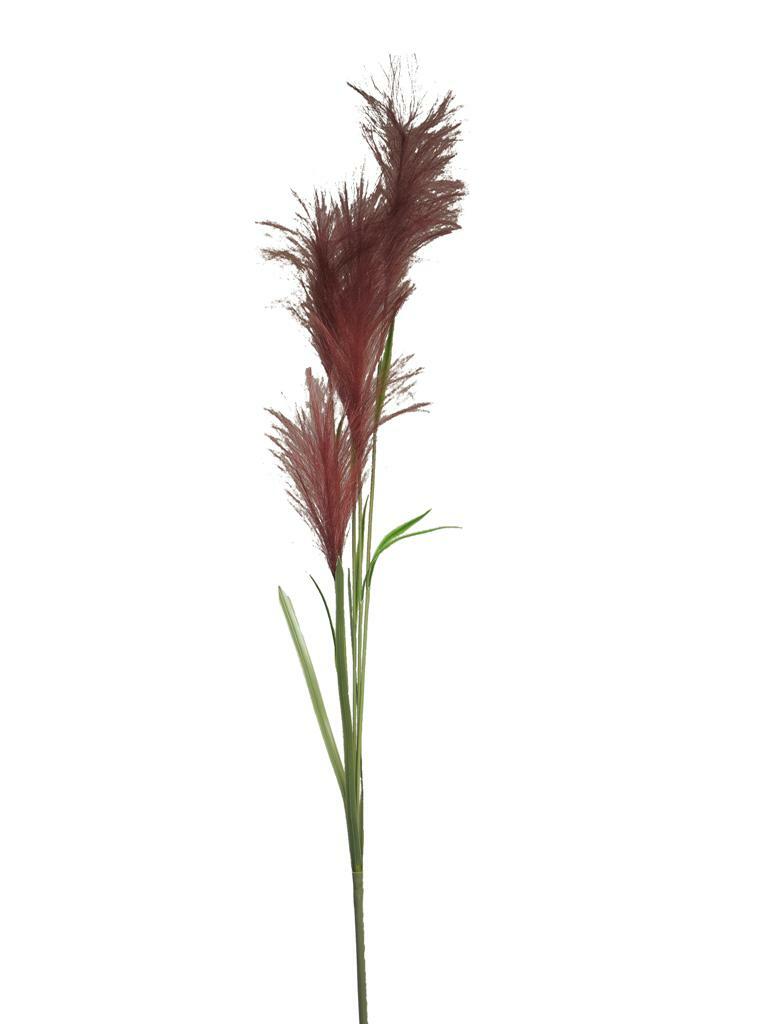 Reed grass spray red 145cm