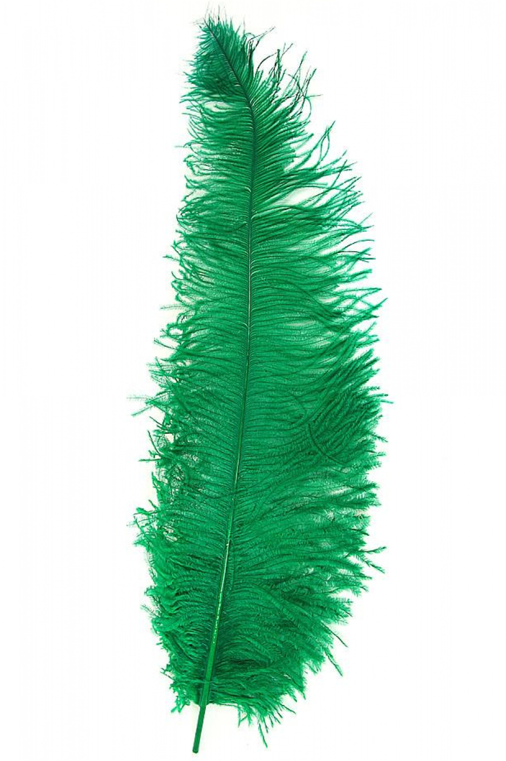 Spadonis veren groen