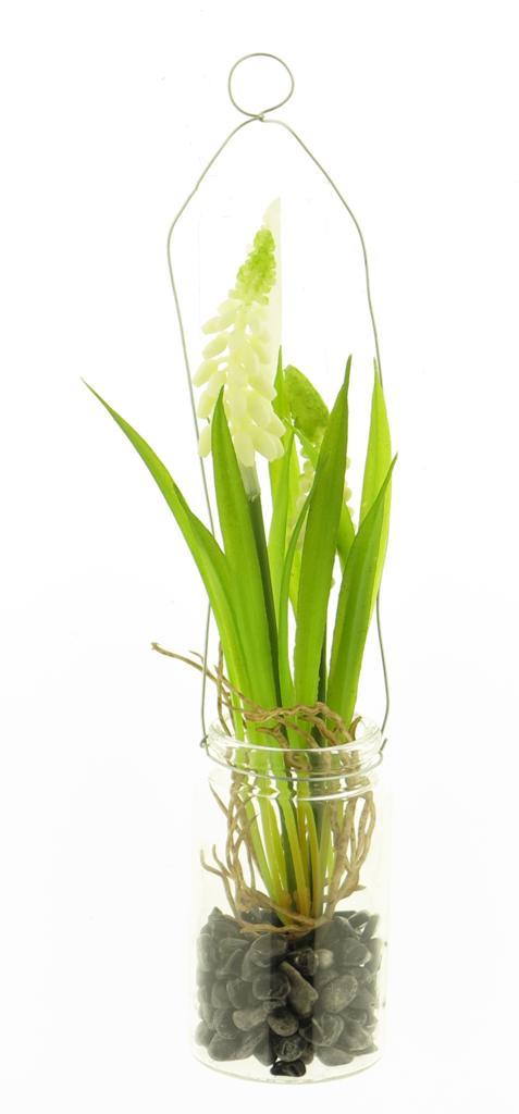 Muscari in glazen pot met hanger crème 24cm